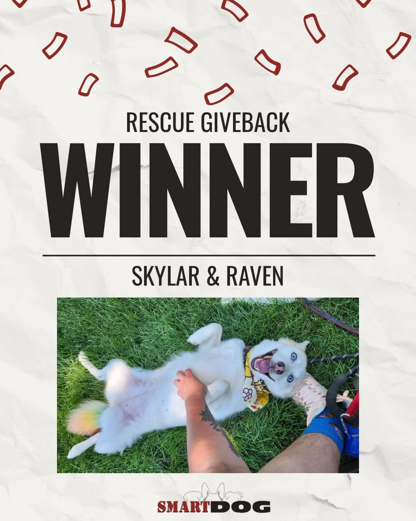November RESCUE GIVE-BACK WINNER! 

We&rsquo;re excited to share that Skyler &amp; Raven G have been selected for this month&rsquo;s Giveback Private Rescue Consultation

Thank you to everyone who entered, we appreciate you sharing your rescue pups w
