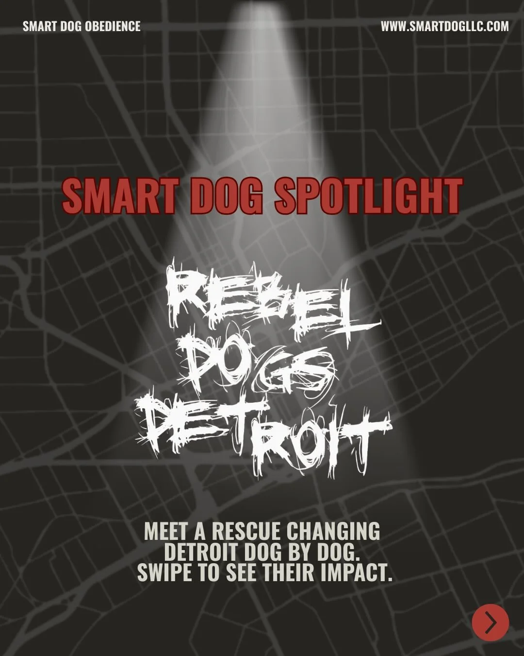 RESCUE SPOTLIGHT: Rebel Dogs Detroit 🐶

Detroit has so many dogs who need safety, structure, and someone willing to show up for them. Rebel Dogs Detroit does that every day. 

They take on the tough cases, provide hands-on rehab, support Detroit fam