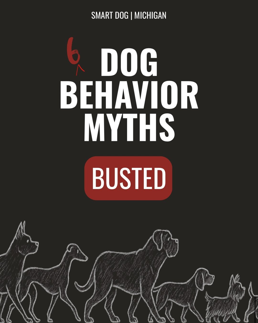 Dog behavior comes with a lot of myths; and most of them create confusion, slow progress, and make training way harder than it needs to be. Today we&rsquo;re breaking down the biggest dog behavior misconceptions so you can understand what your dog is