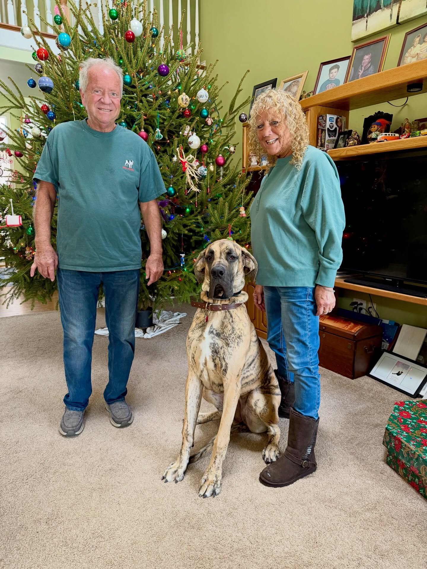 Happy Graduation Gypsy! Your kind soul will surely be missed in the SDO kennel. Over the past weeks your confidence has blossomed &amp; your best self is truly shining. ❤️