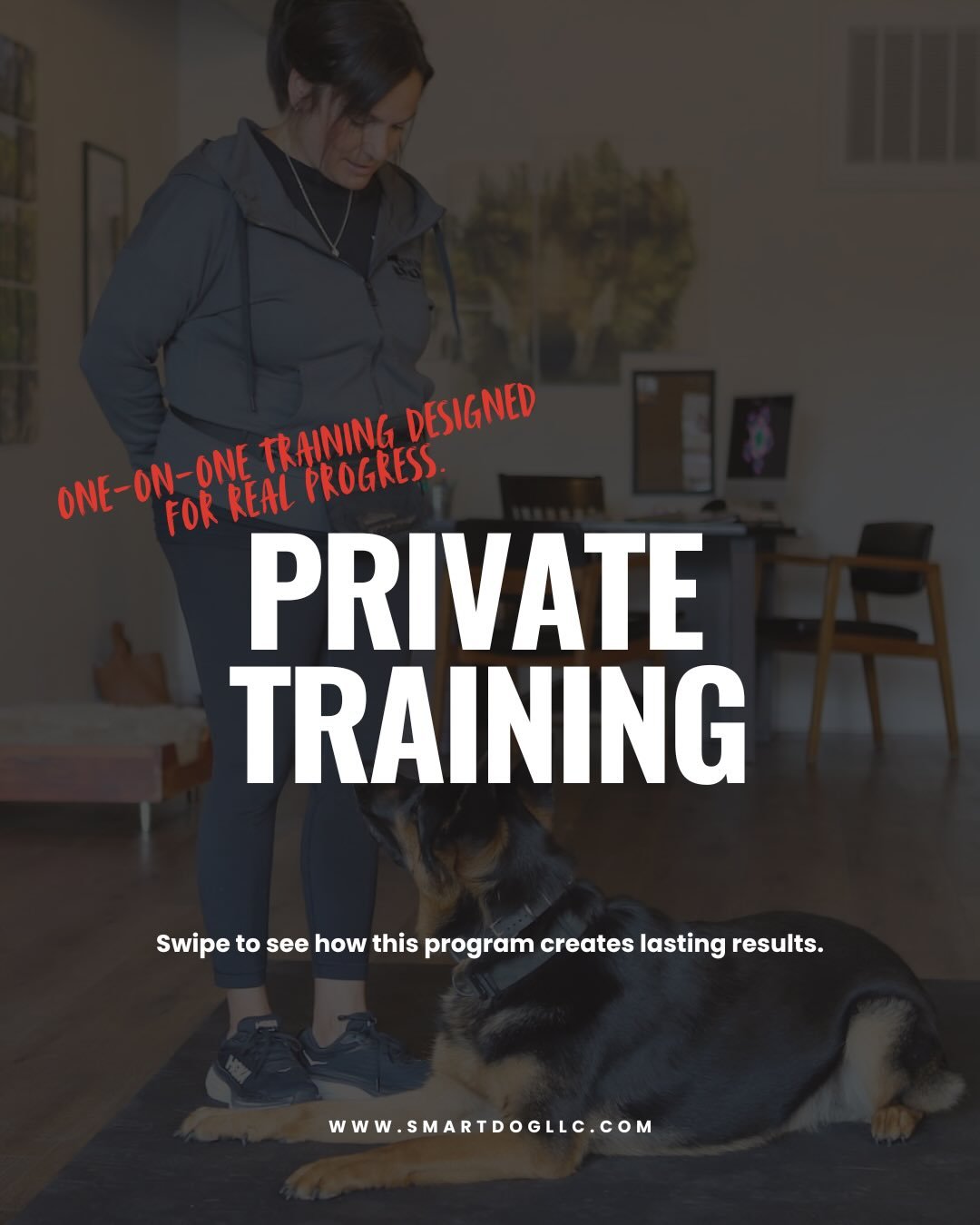 If you&rsquo;re looking for private dog training in Southeastern Michigan, our one-on-one private dog training program builds the foundation your dog needs for real-world success. 

Dogs start with our Beginner Series, move into the Intermediate Seri