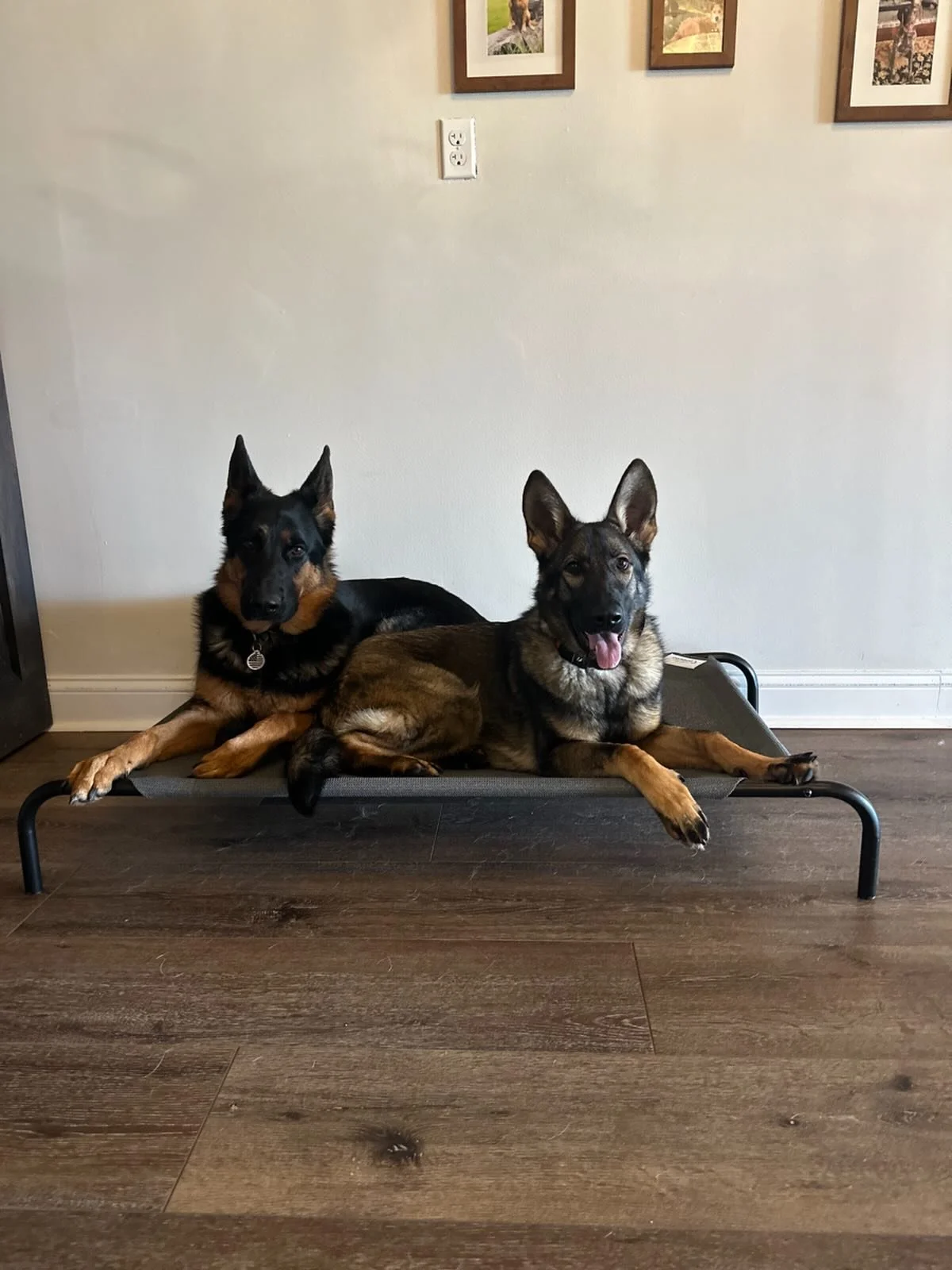 Workin on that Double D Place💯