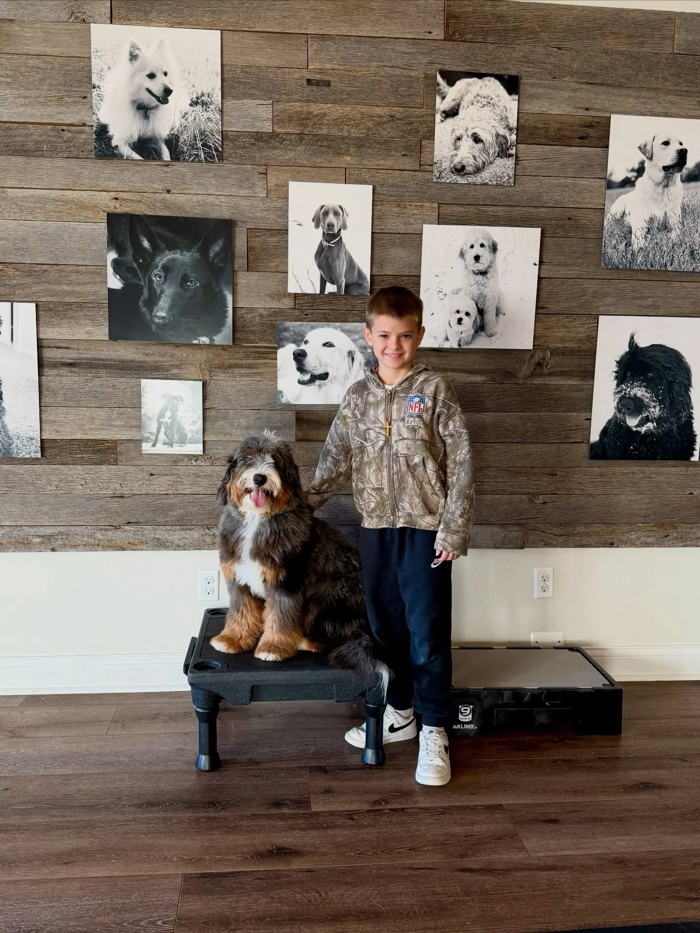 Number 4 is out the door!! Congratulations to Charlie for graduating your Off-Leash Obedience Program with flying colors. You&rsquo;ve been a rockstar since day 1 &amp; working with you has been a blast!! You have a great life ahead of you ❤️🐾