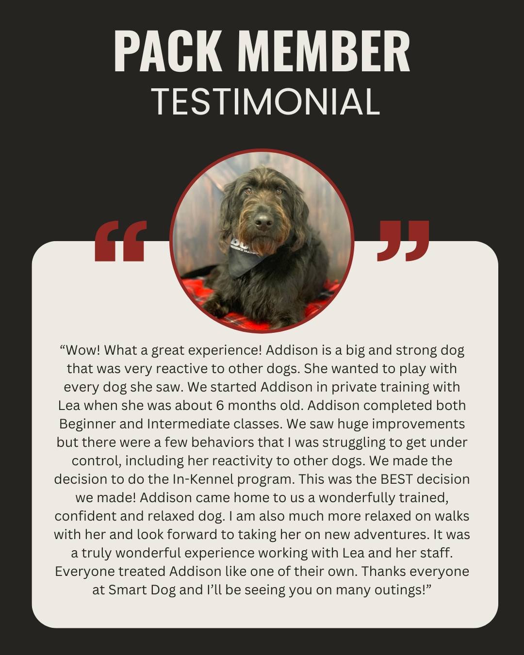 Watching a dog gain confidence is one of the most rewarding parts of what we do.

Addison came to Smart Dog as a big, strong, high-energy dog who struggled with reactivity around other dogs. Through private training, continued progression, and ultima