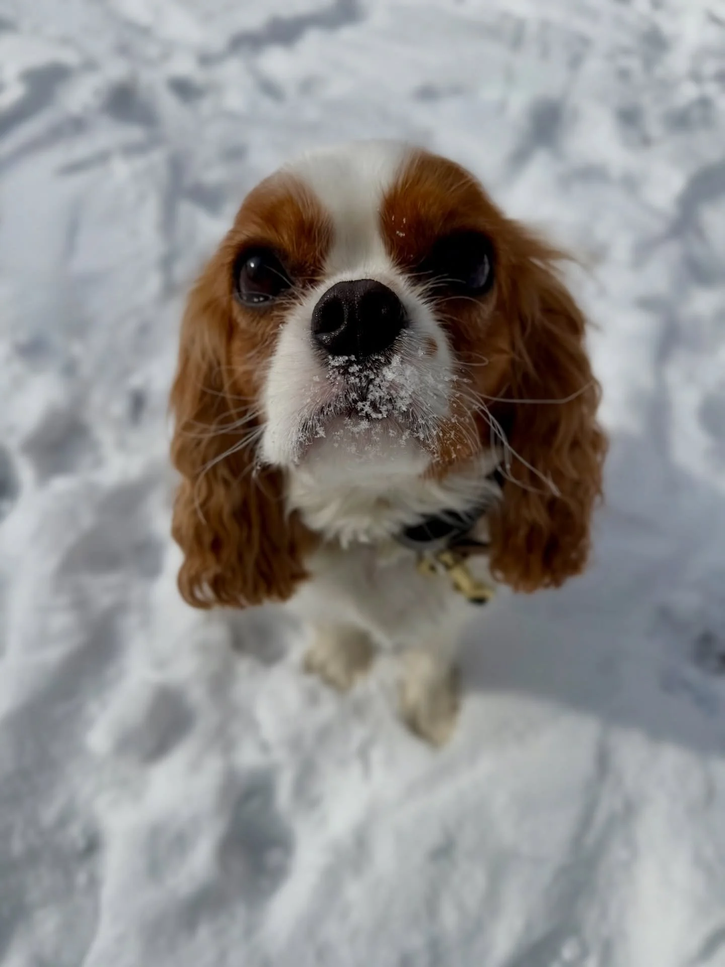 We&rsquo;ve been loving our time with Sasha ❤️