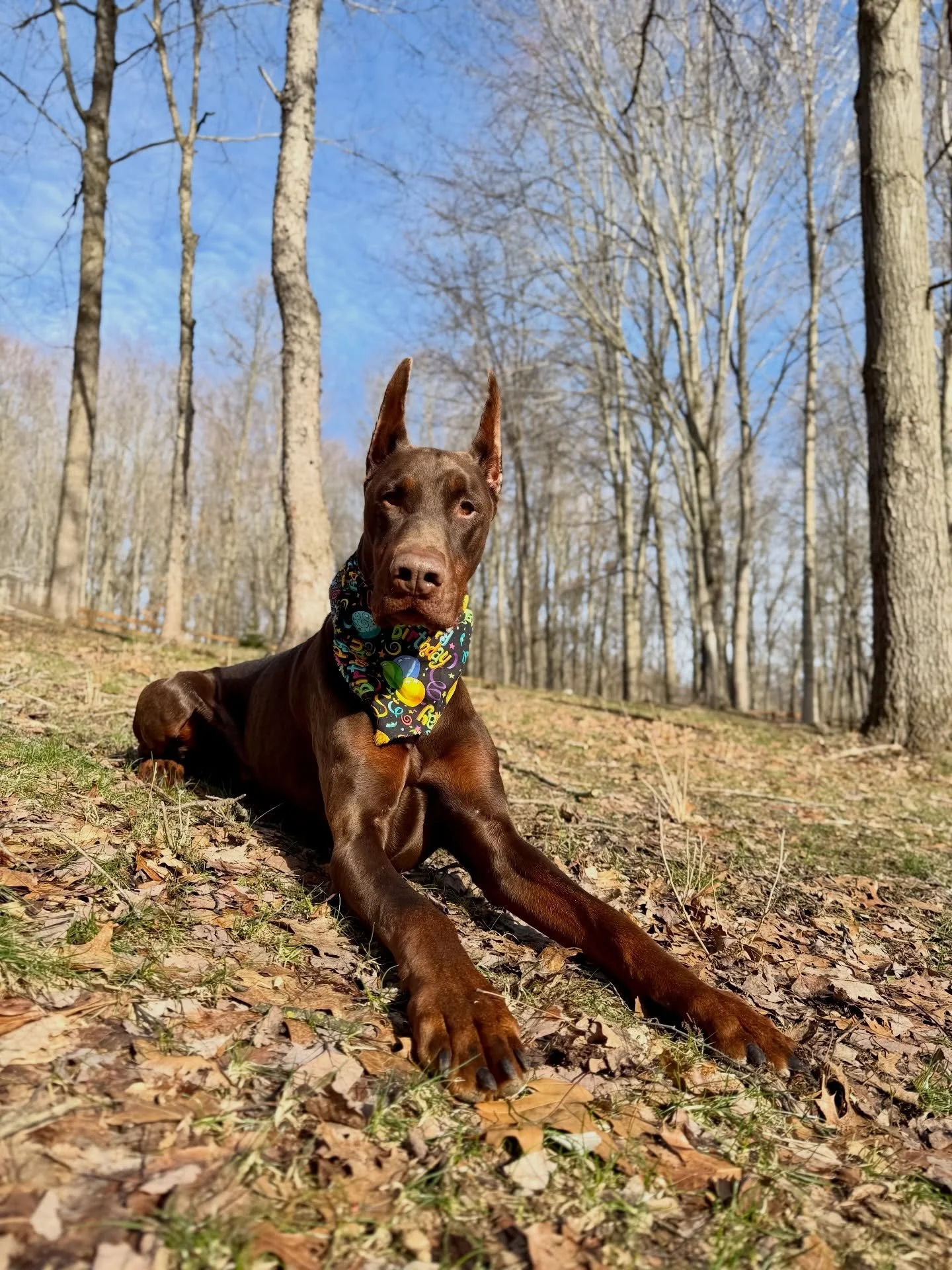 Happy Birthday Rudy!! We love you! ❤️🥳