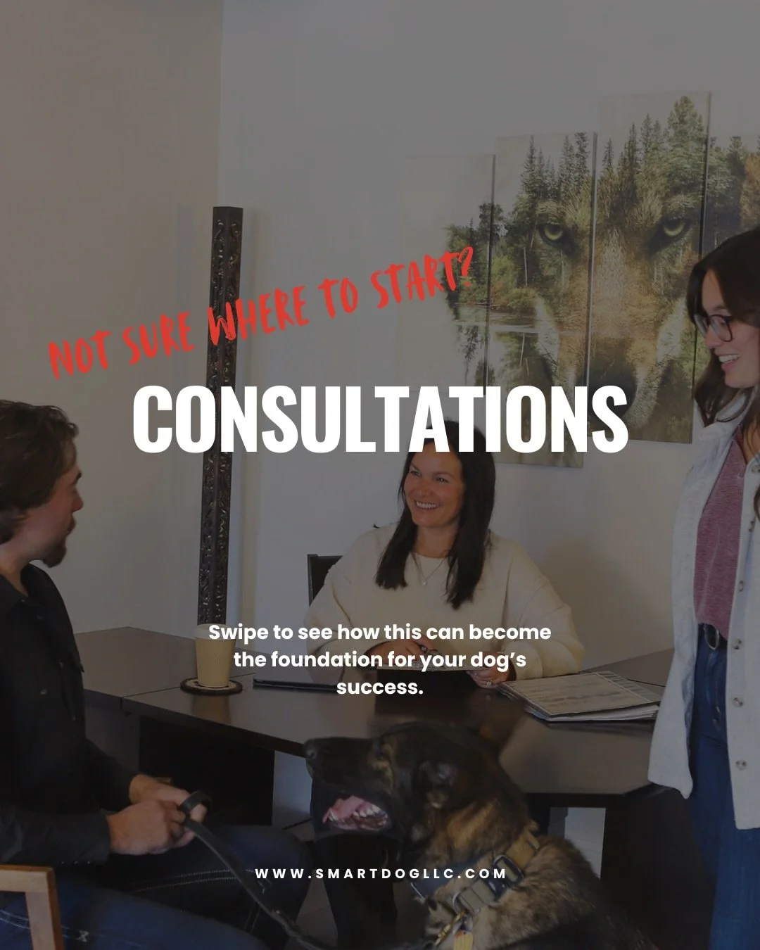 Service Highlight: Consultations

Most consultations are scheduled when owners want clarity, direction, and professional guidance for their dog. Whether your dog is adjusting to a new home, navigating puppyhood, has developed unwanted behaviors, or y