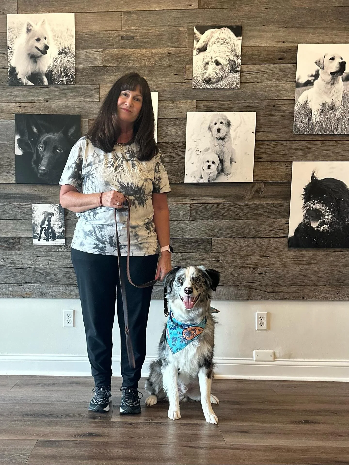 Congratulations Rhett and Pam!  Great job completing your Beginner Series!  So much progress in just four sessions! Less reactive, less nippy, more relaxed, confident and attentive!  Life with Rhett just keeps on getting better!  Imagine what structu