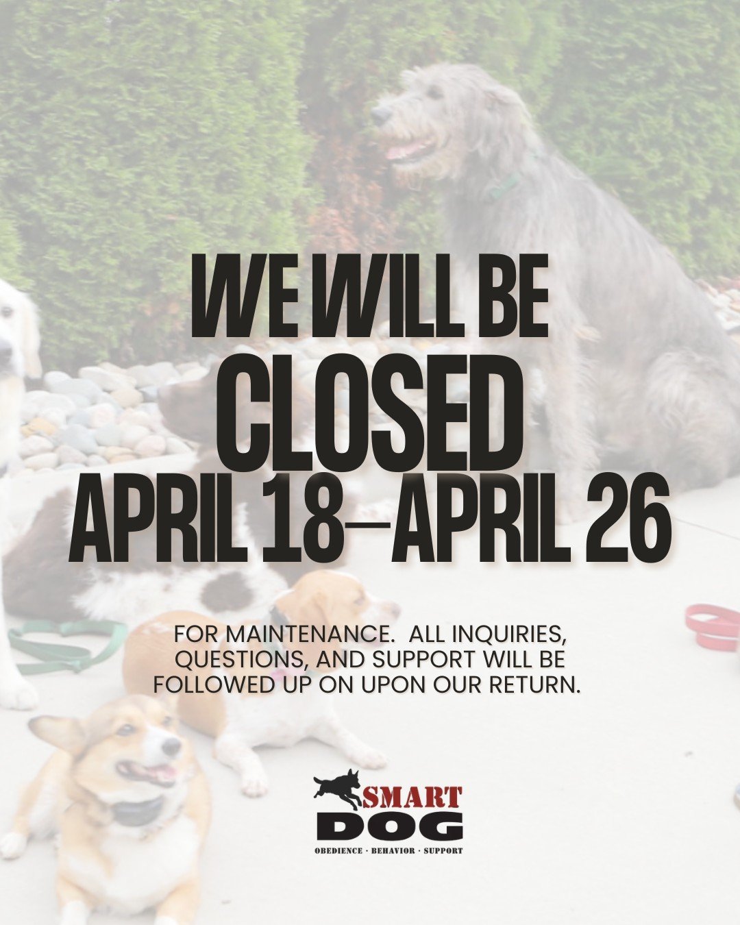 Smart Dog will be closed for maintenance April 18&ndash;26.

All questions, inquiries, and follow-ups will be responded to upon our return. We appreciate your patience and understanding while we are out for maintenance! 

We look forward to getting b