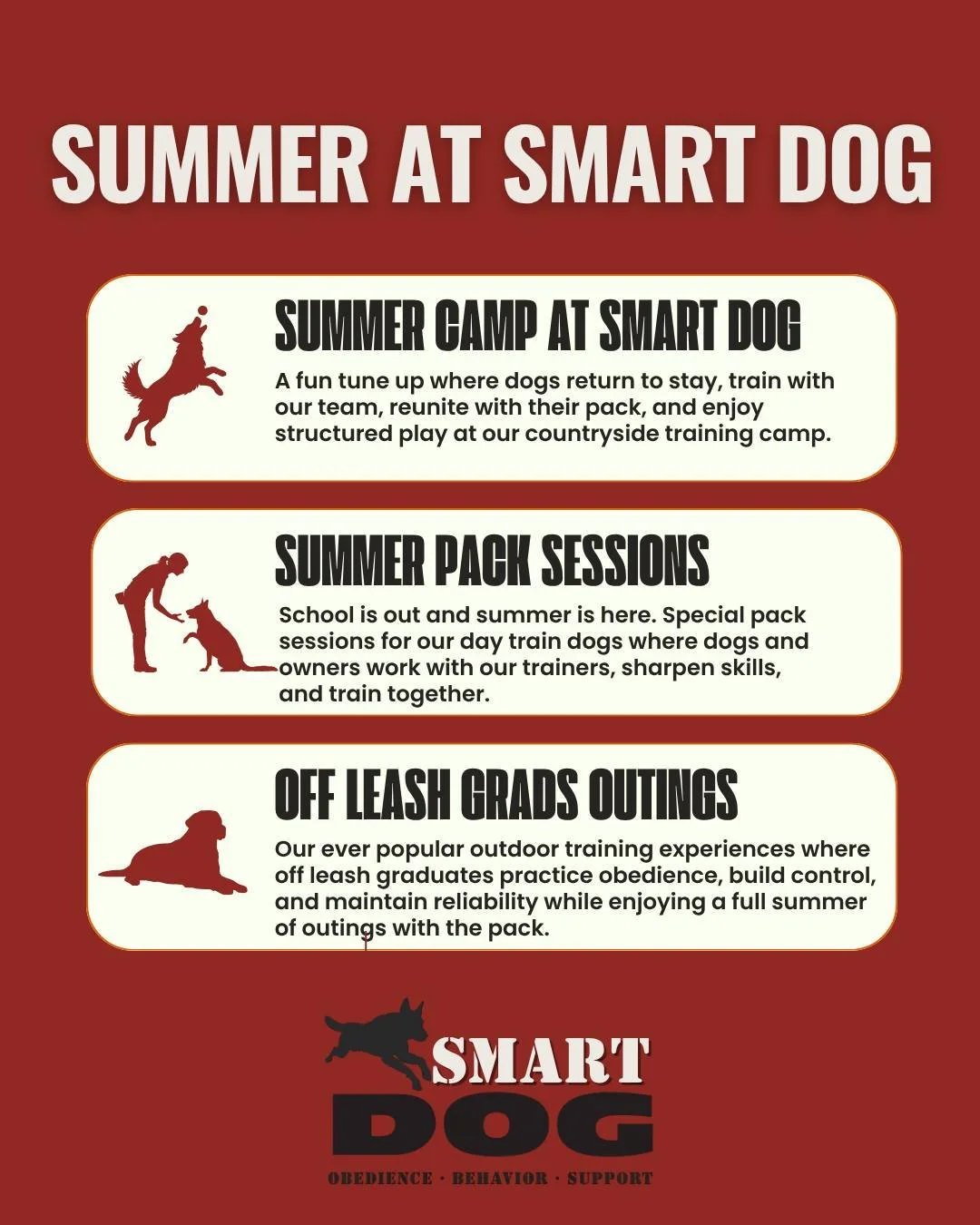 We&rsquo;ve created a full lineup of training opportunities designed to keep your dog sharp, engaged, and working all summer long!

Summer Camp for Board and Train Graduates
A fun return to stay, train with our team, reconnect with the pack, and enjo