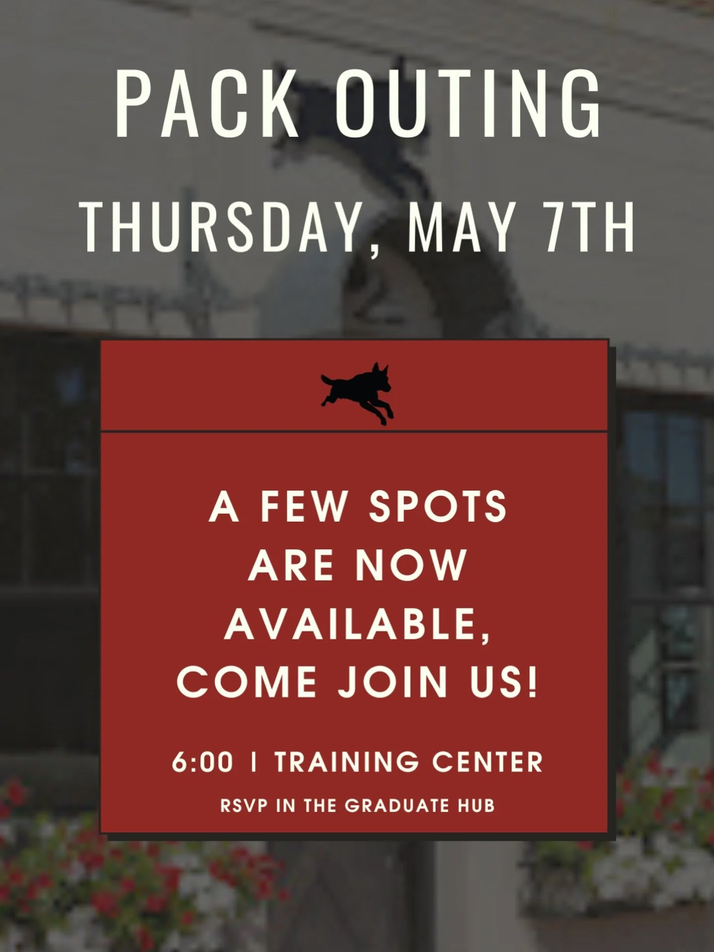 A couple of spots just opened for tomorrow&rsquo;s Smart Dog outing on 5/7 at 6:00 PM at the SDO Training Center. 

Outings help keep your dog&rsquo;s skills sharp through real-life distractions while working alongside our trainers plus other pack me