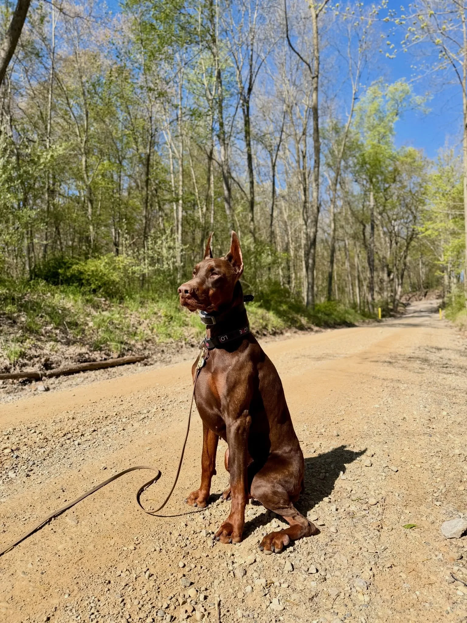 Handsome man is back!! Happy to have you Rudy!
