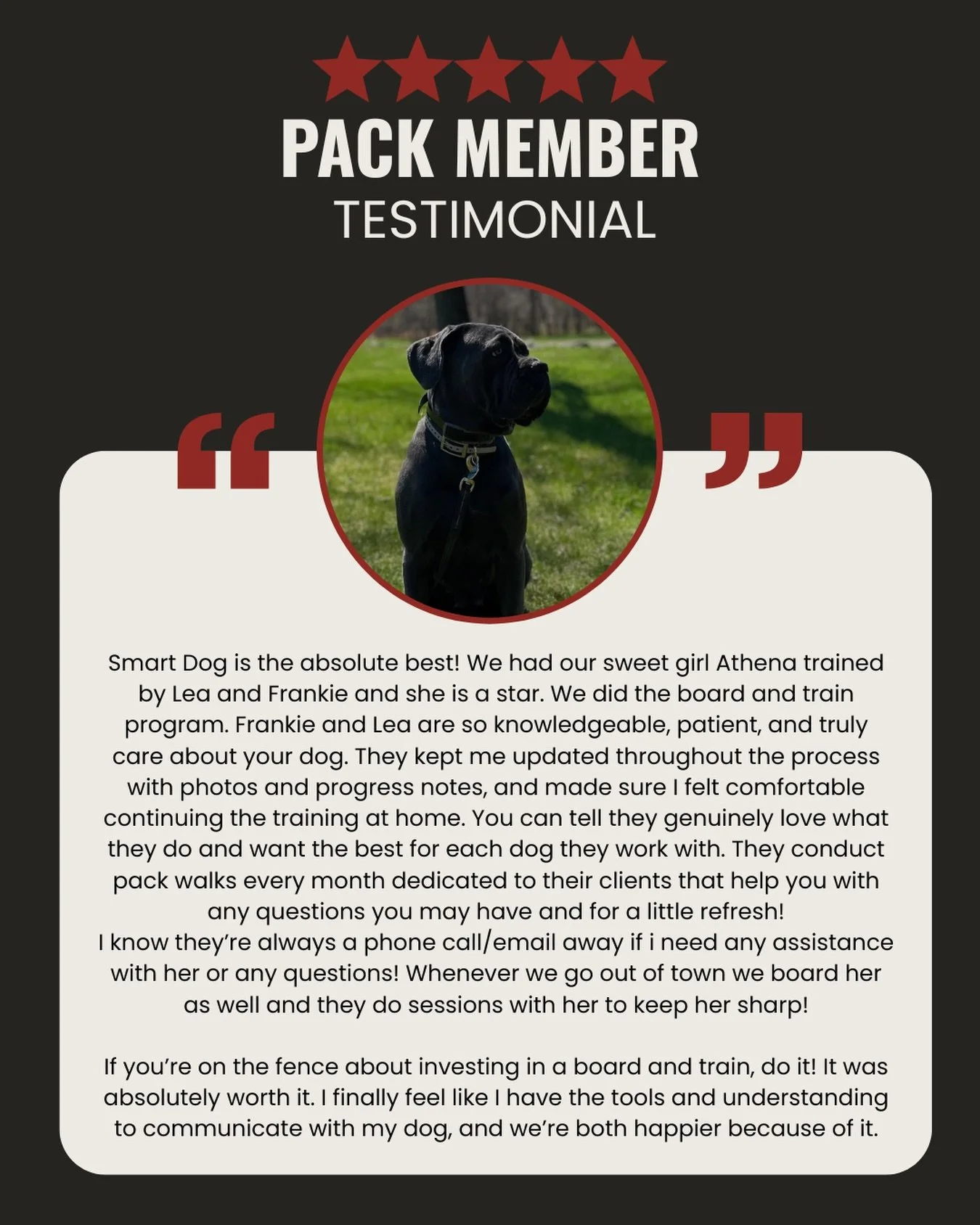 Athena, A sweet Cane Corso who came through our Board and Train program and left a total star.

There&rsquo;s nothing we love more than hearing from the families behind our Pack. Stories like Athena&rsquo;s are exactly why we do this work, and why we