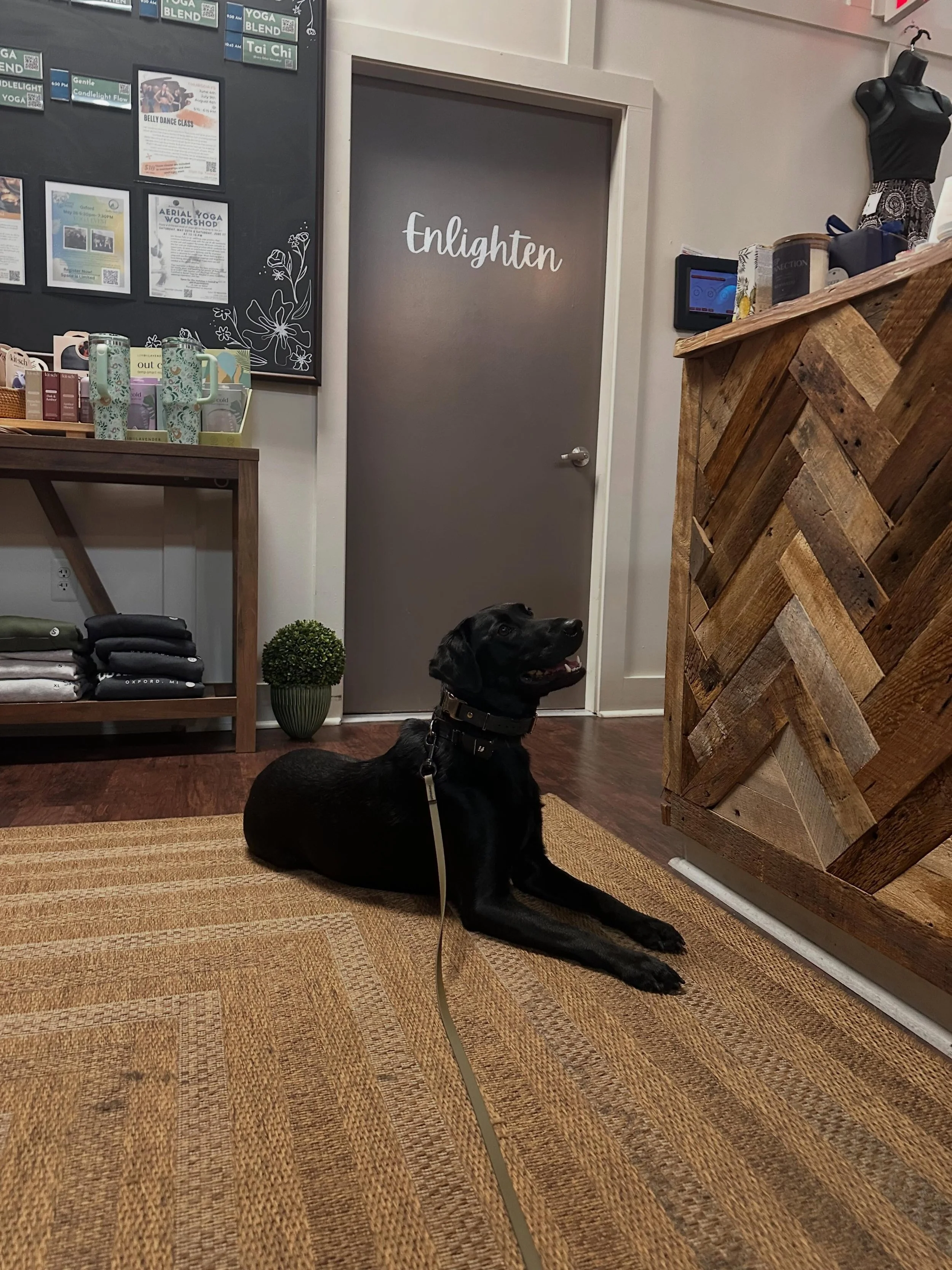 Josie is here for an overnight visit, so I thought I&rsquo;d take her shopping with me!  What a perfect environment to practice relaxation and calm. Thank you to @thegivingtreecollective for letting us do some shop and train.
