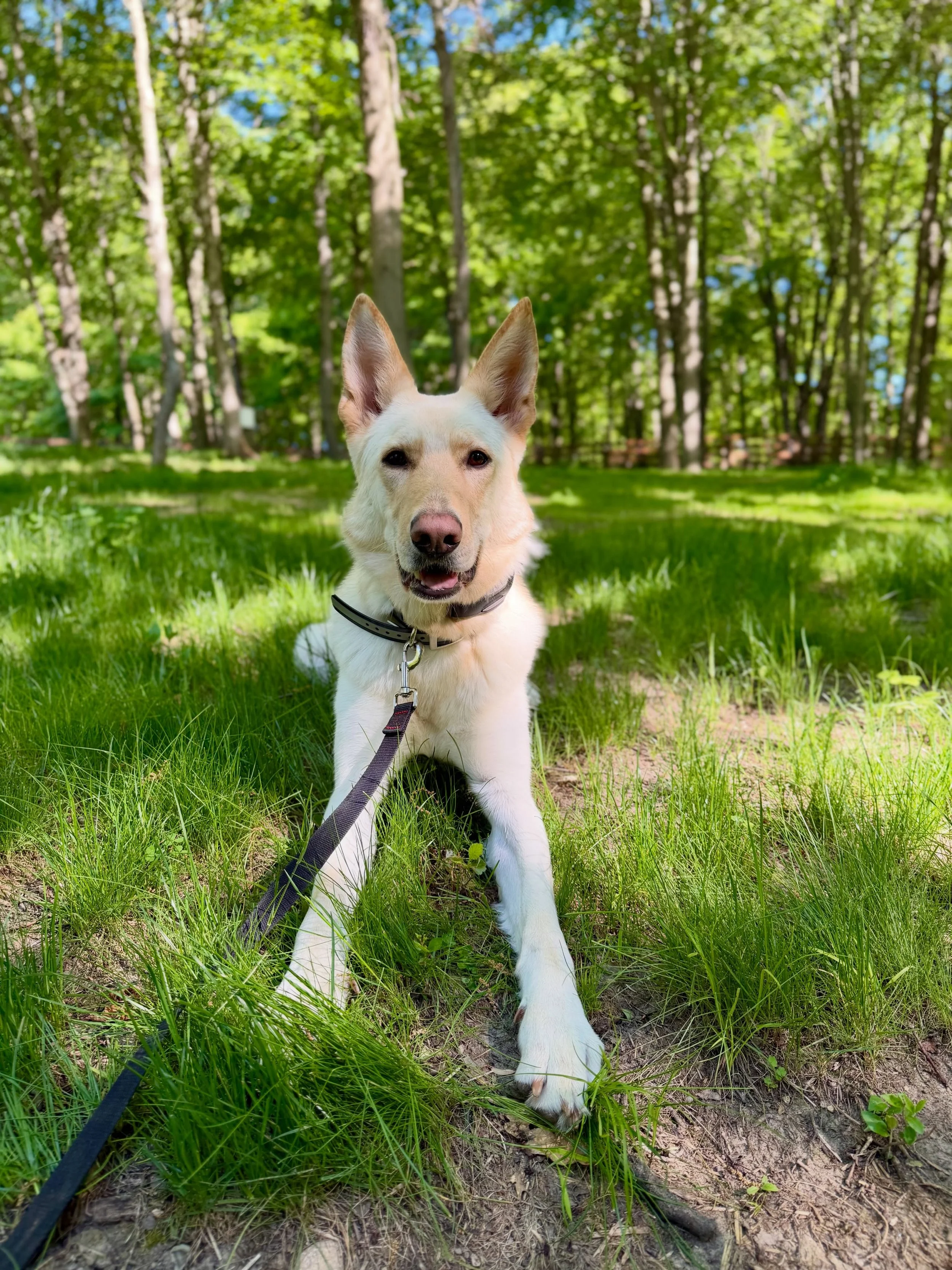 Luna 🤍