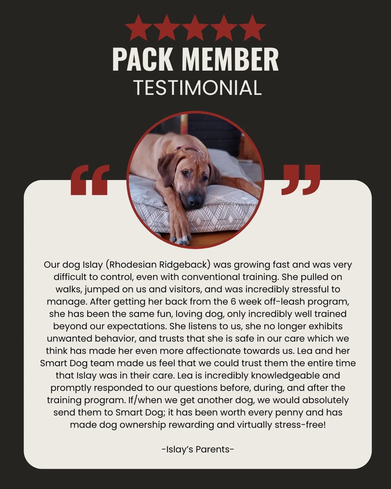 This is what off-leash training really does.

It&rsquo;s not just about teaching your dog to come when called. It&rsquo;s about giving you back the dog you fell in love with, only calmer, more confident, and easier to live with.

Islay was growing fa