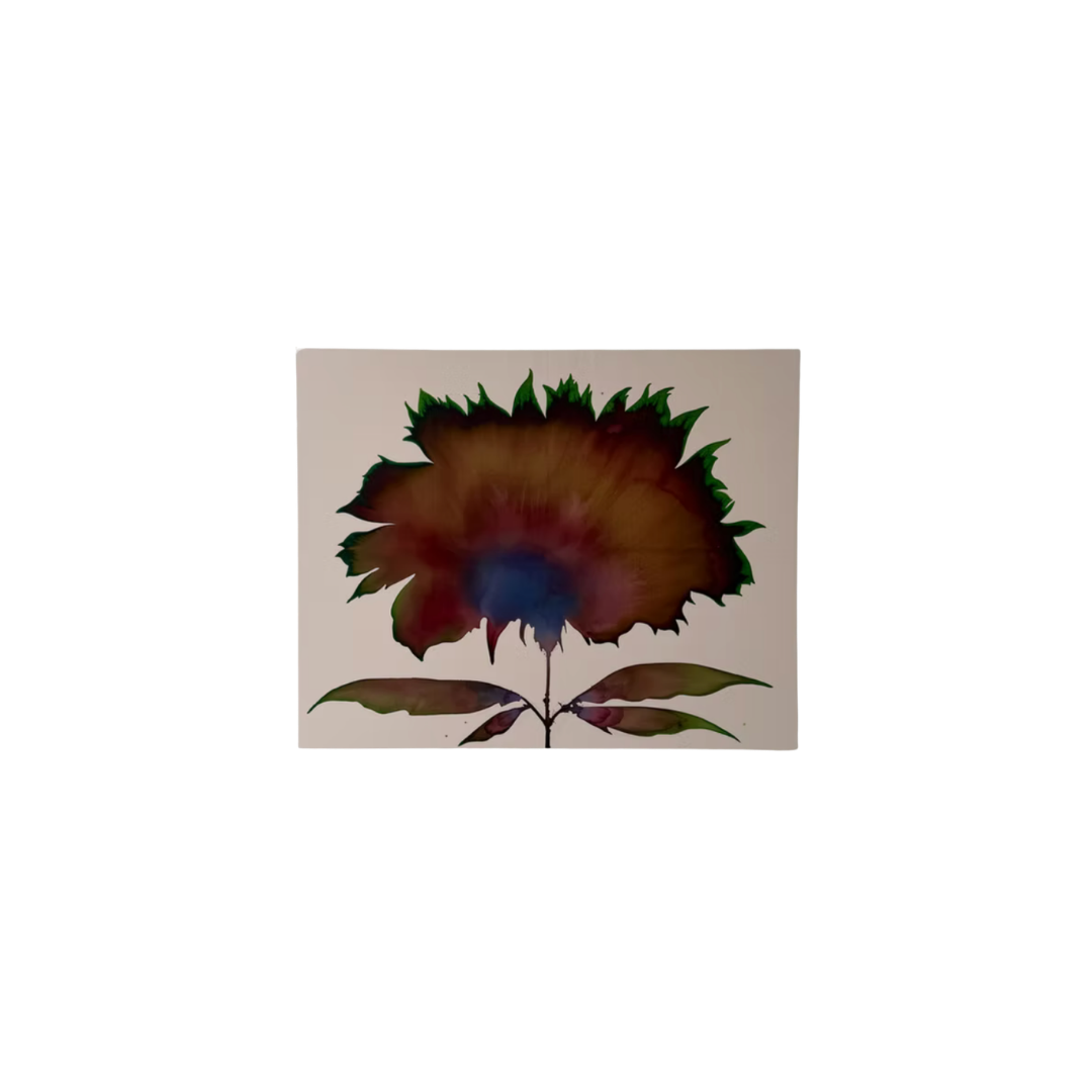 Shop Graphics For Website-3.png