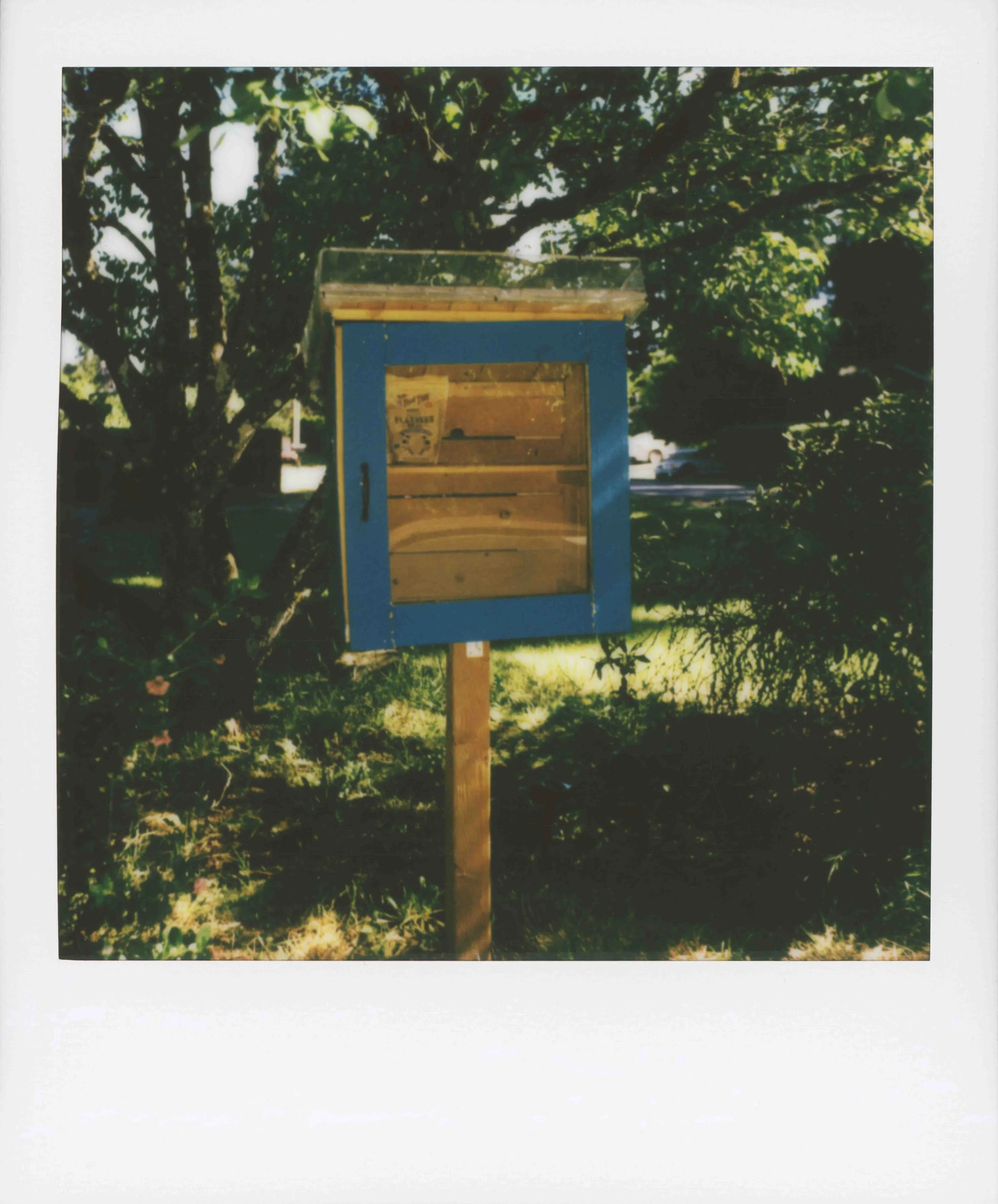 pscan_2026_0007-2.jpg