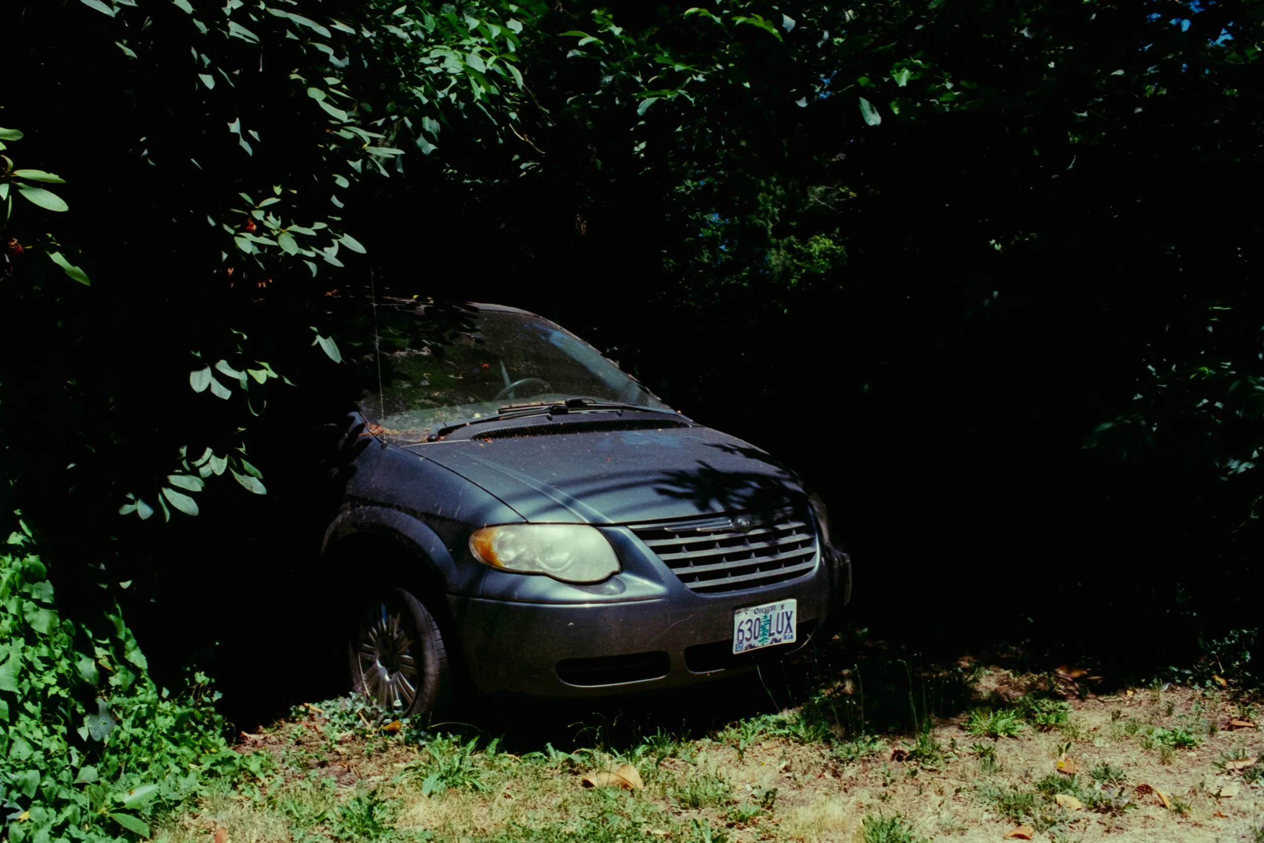 A dark-colored car is partially hidden among dense green bushes and trees, with its front end and windshield visible. The car is parked on a grassy area with some dirt, and a license plate from Oregon is clearly visible.