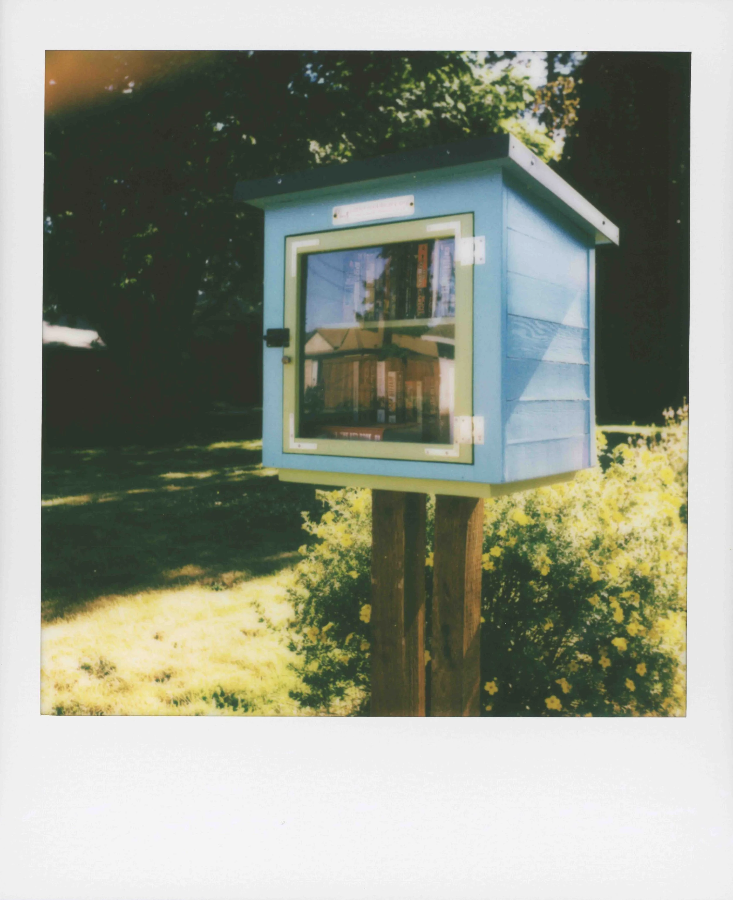 pscan_2026_0006-2.jpg