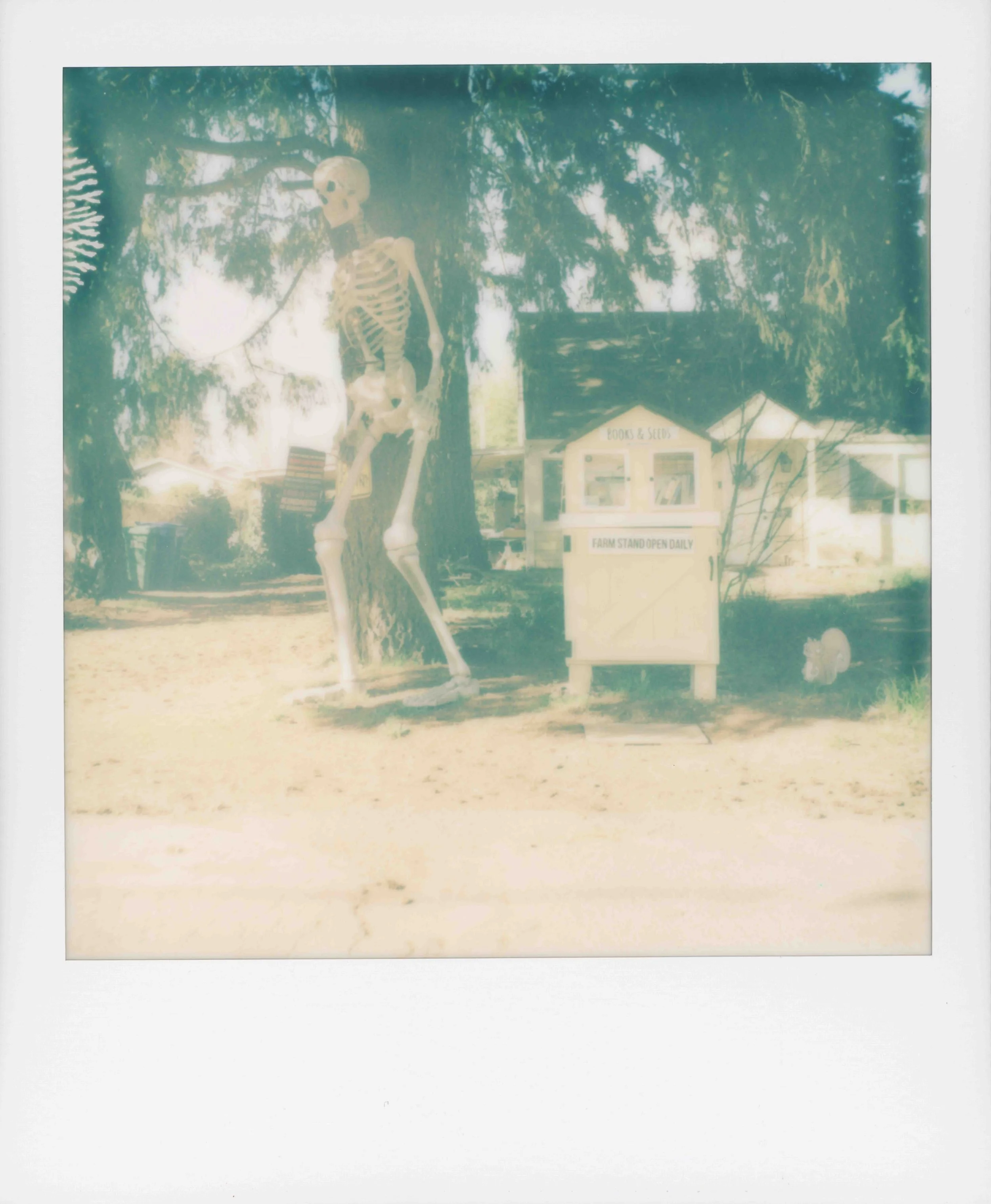 pscan_2026_0002-2.jpg