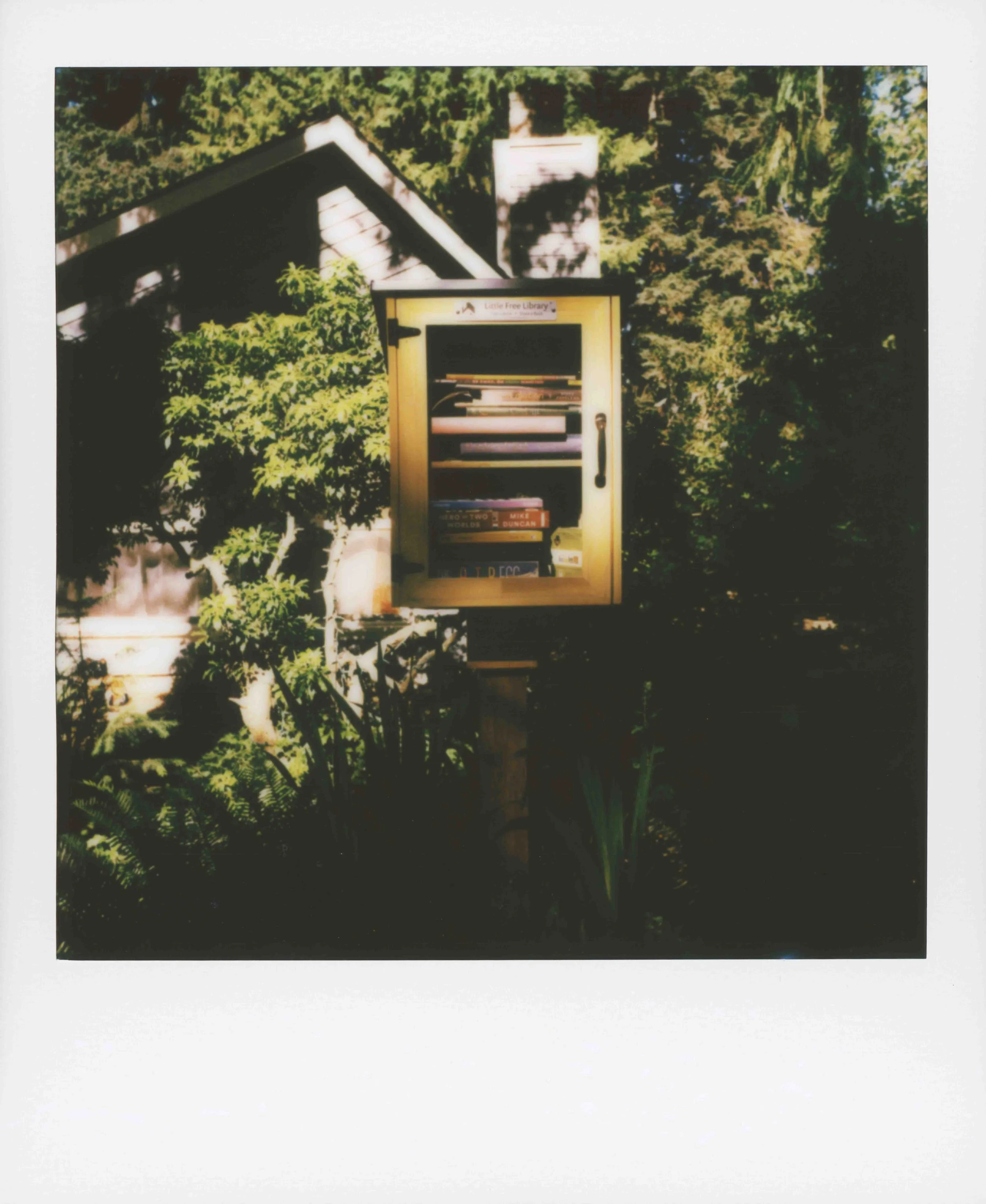 pscan_2026_0005.jpg