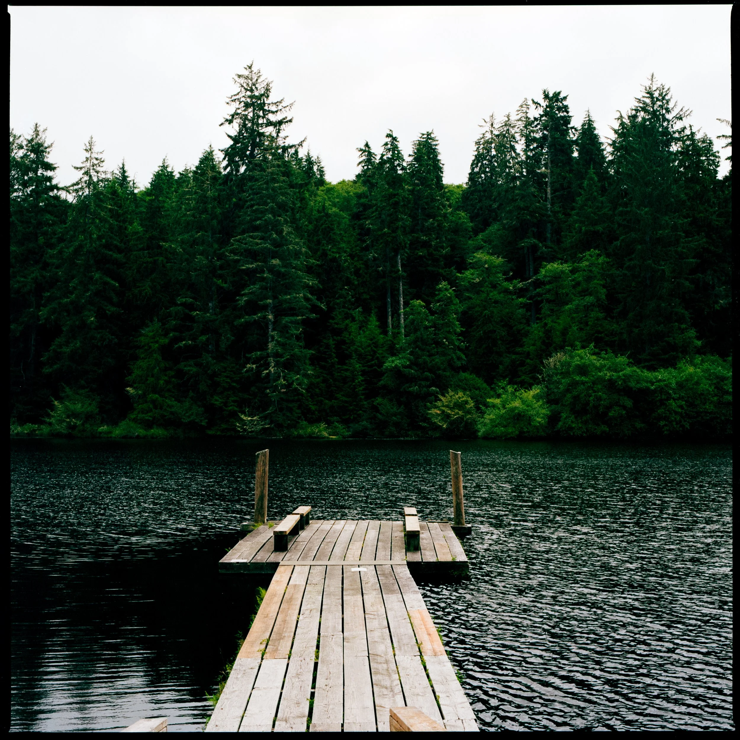 A wooden dock extending into a dark lake with a dense forest of tall evergreen trees in the background.