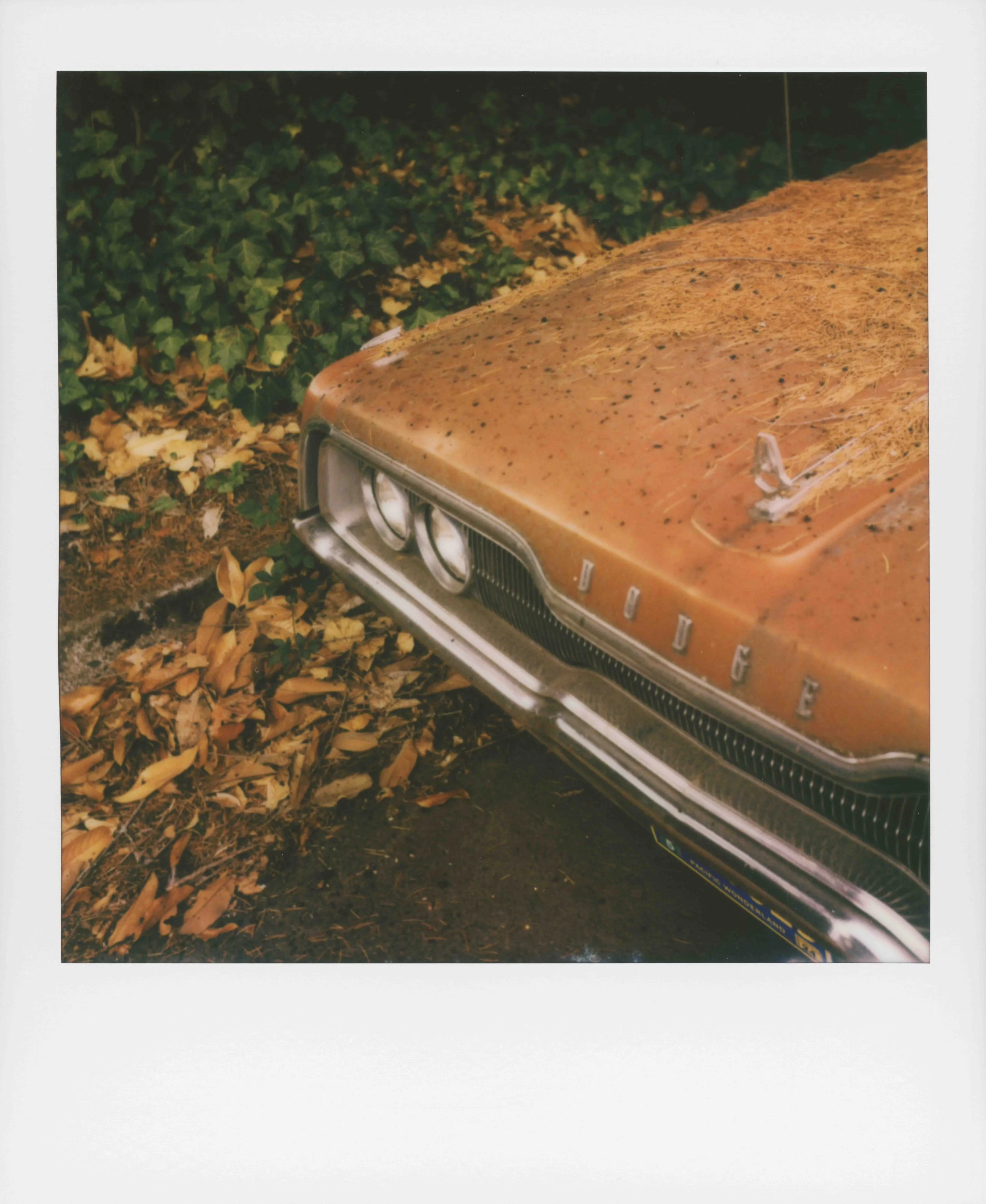 scan0054.jpg