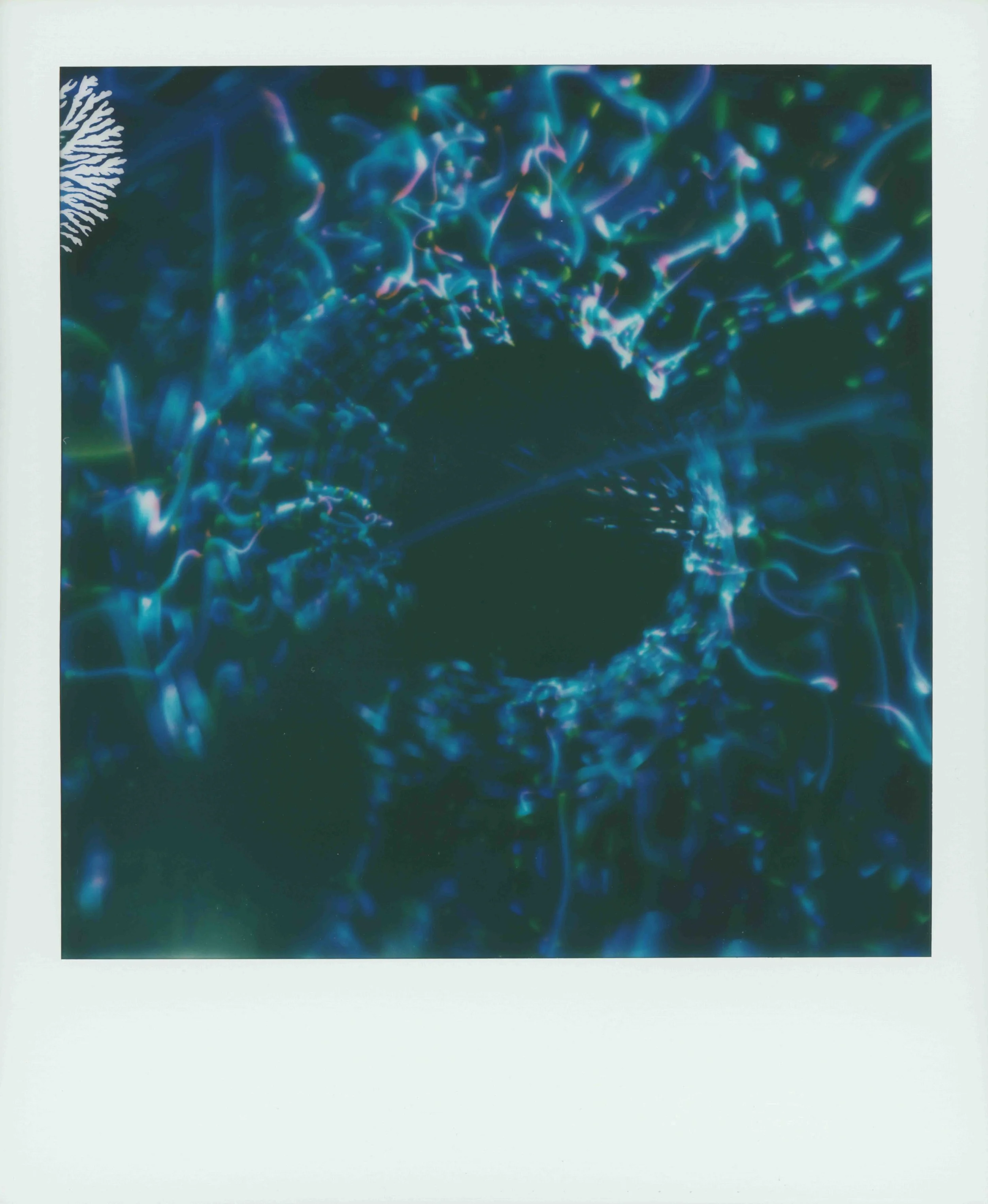 pscan_2026_0005-2.jpg