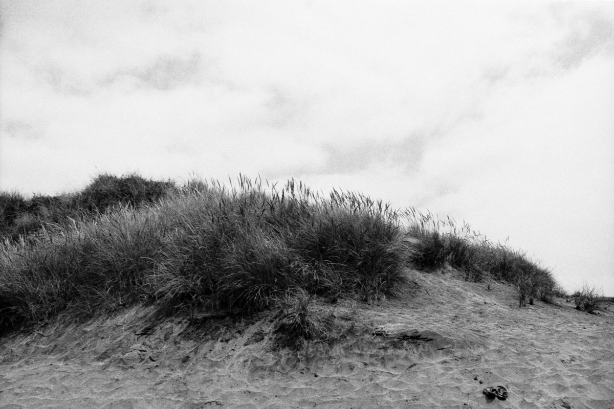 Black and white photo of a sandy dune with tall grass and bushes, overcast sky.