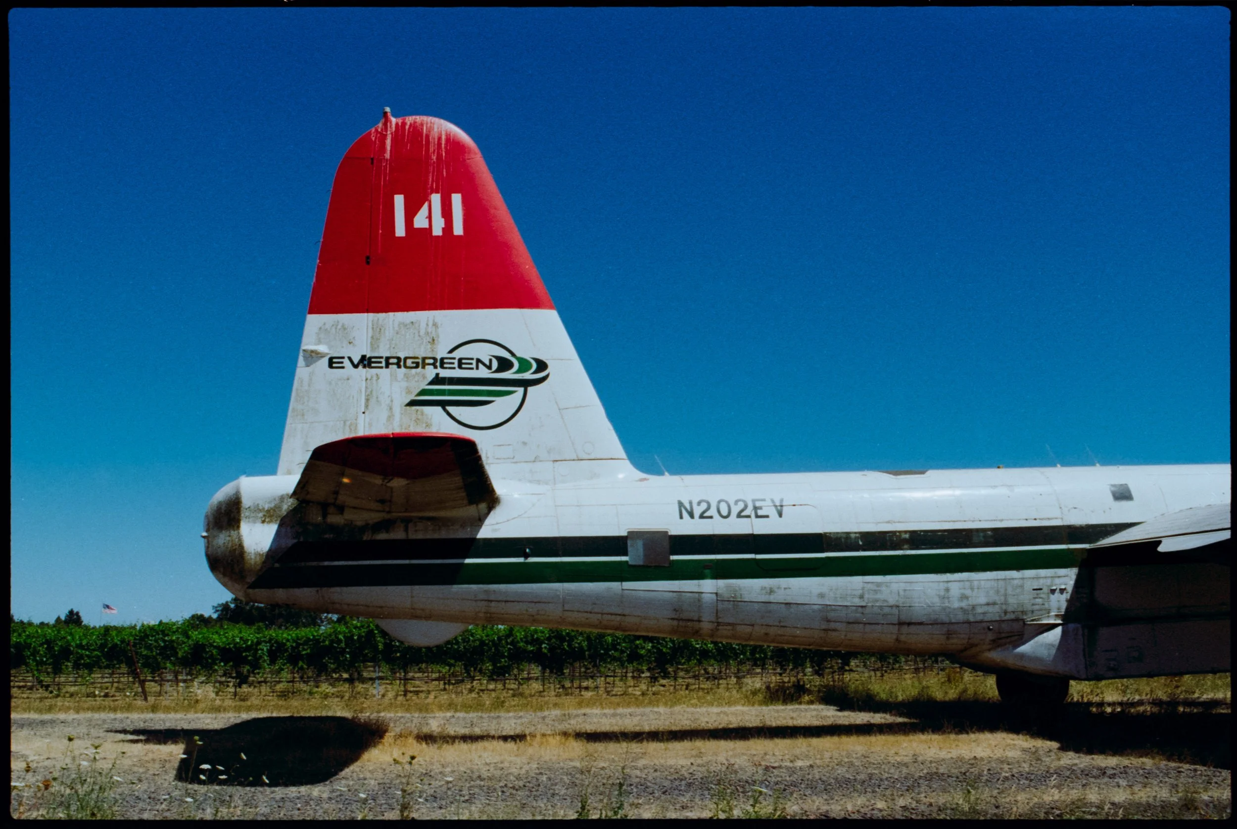 The tail section of a weathered Evergreen cargo airplane with red, white, and green markings, parked on a field with vineyard rows and a clear blue sky in the background.