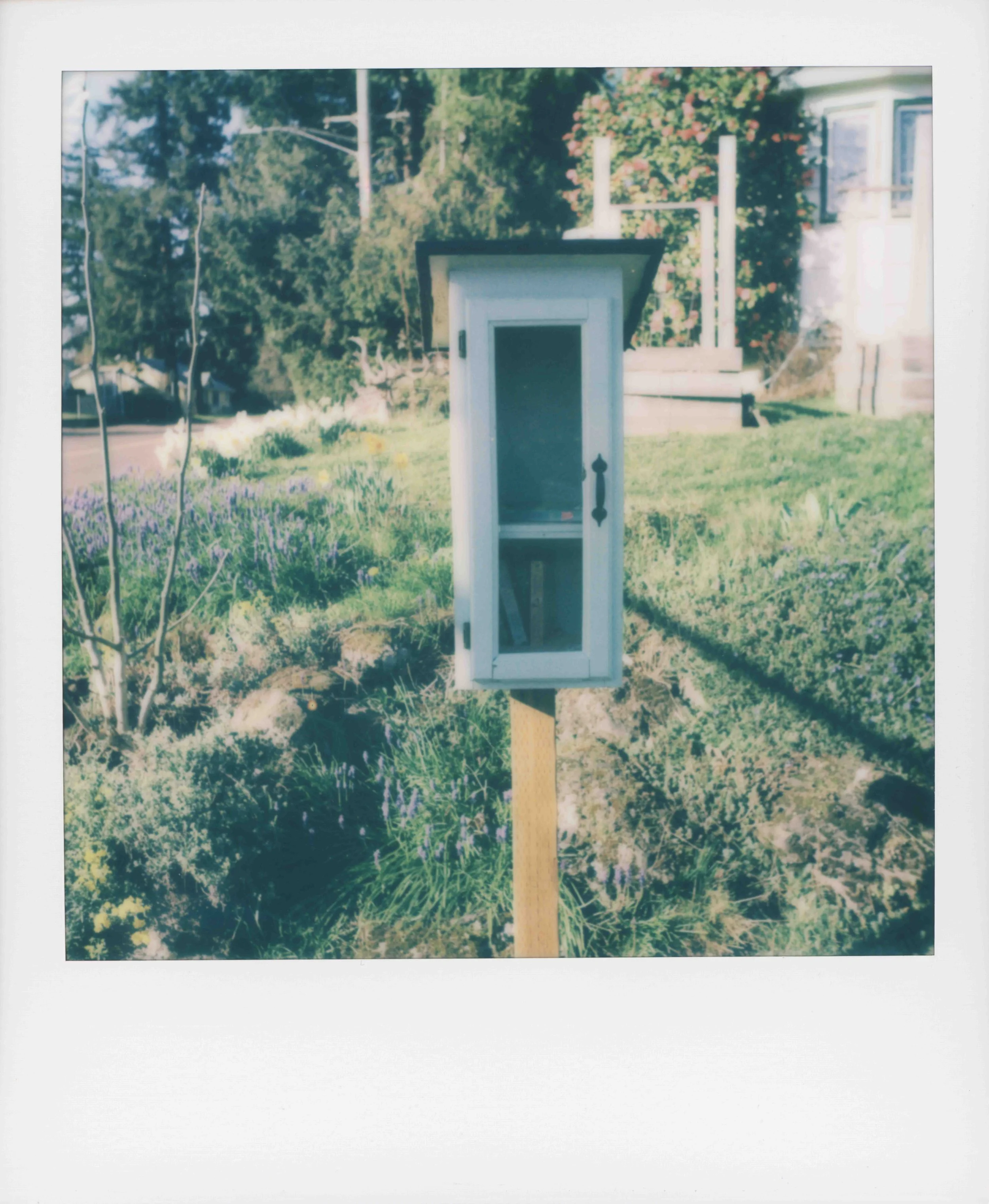 pscan_2026_0003-2.jpg