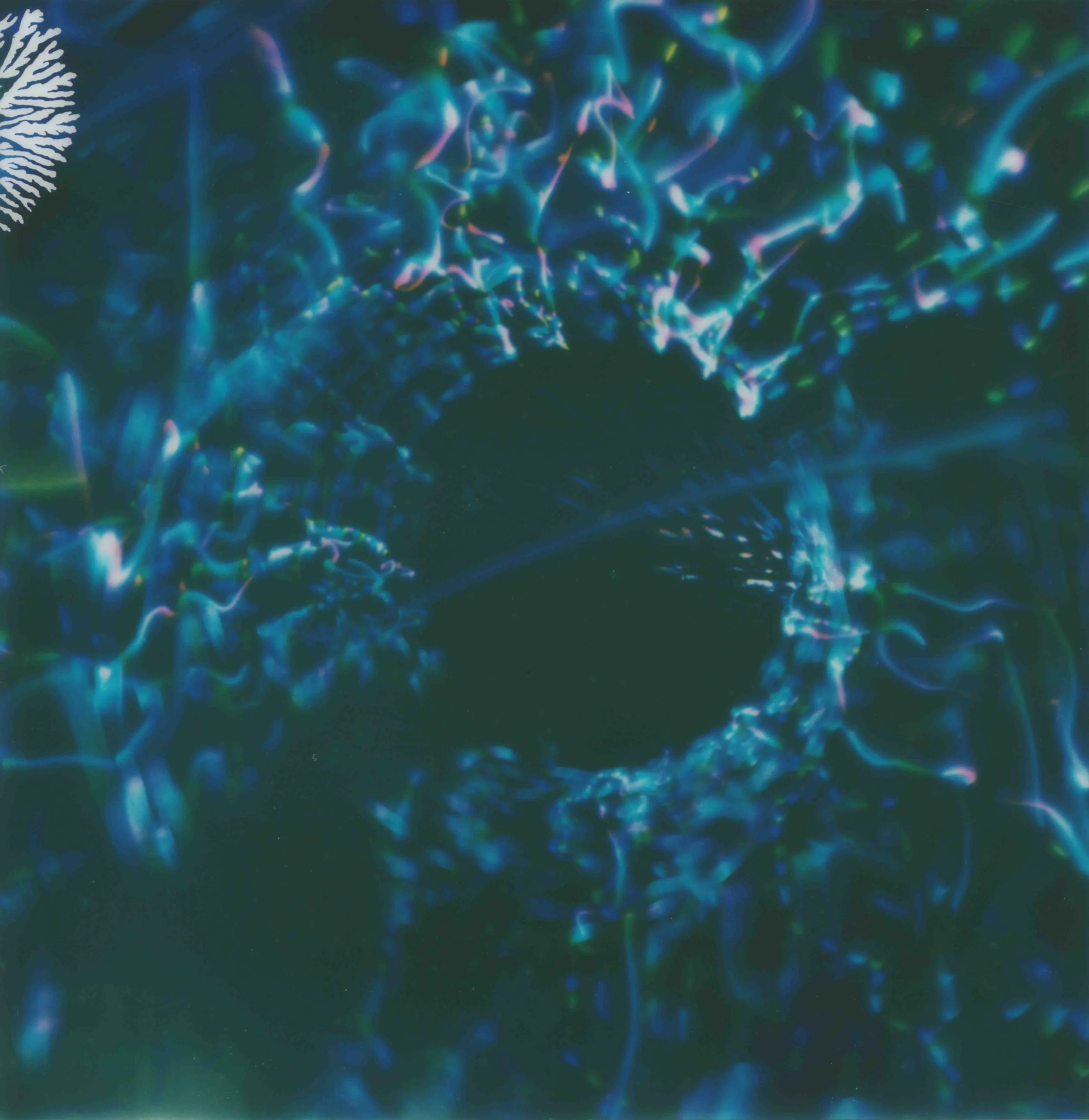 pscan_2026_0005-2-2.jpg
