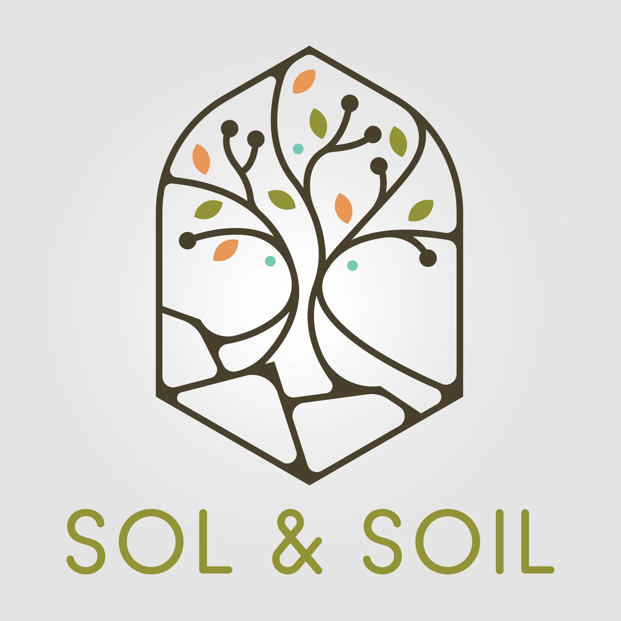 Sol-&-Soil.jpg