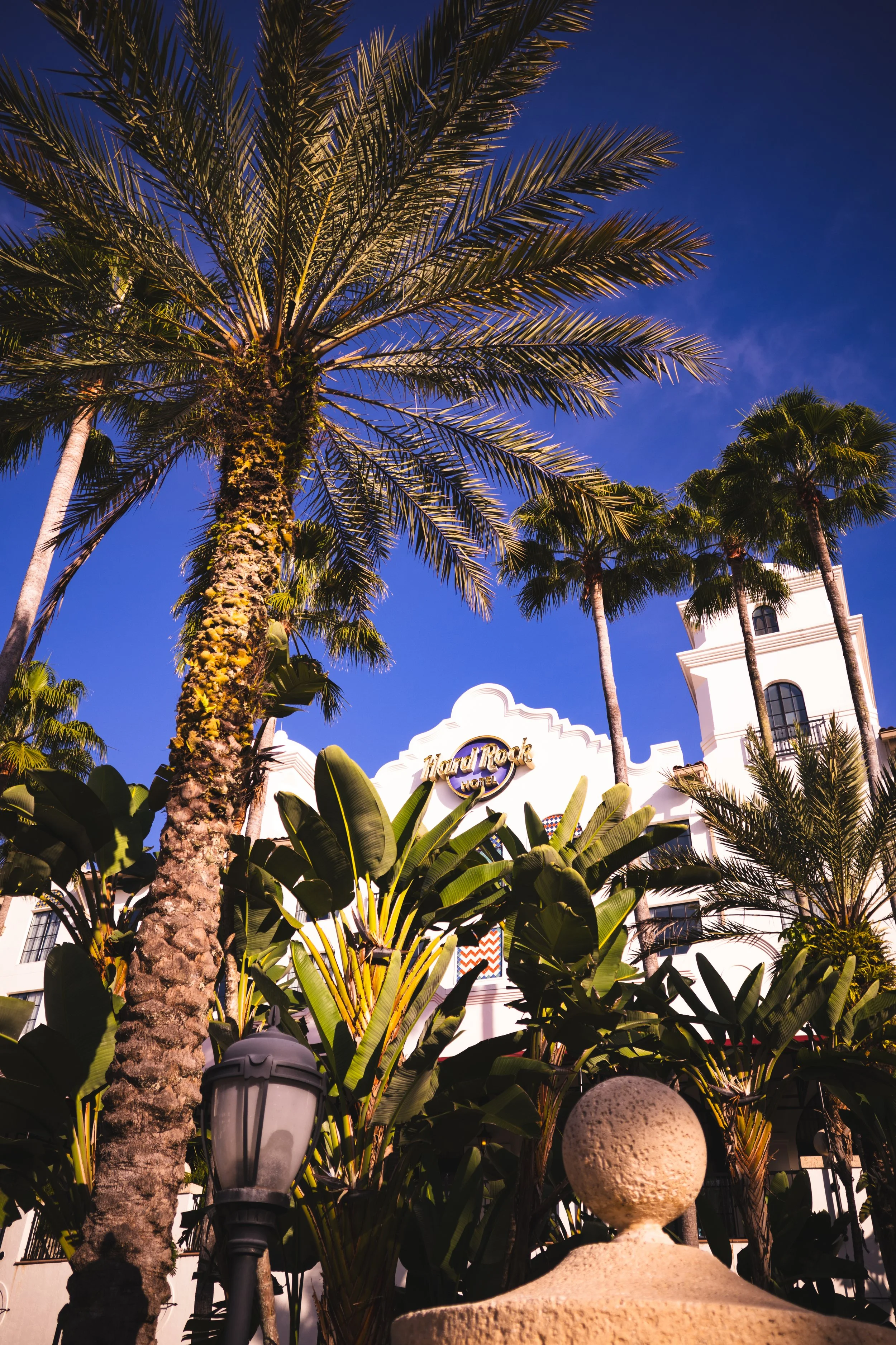Large palm trees and tropical plants in front of the Hard Rock Hotel building, with a clear blue sky in the background.