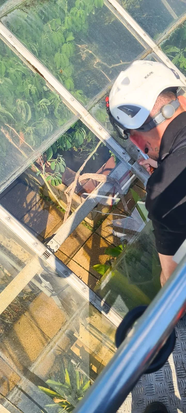 5dad744d-9458-42bc-af76-e49ecfa30806 (1).jpg