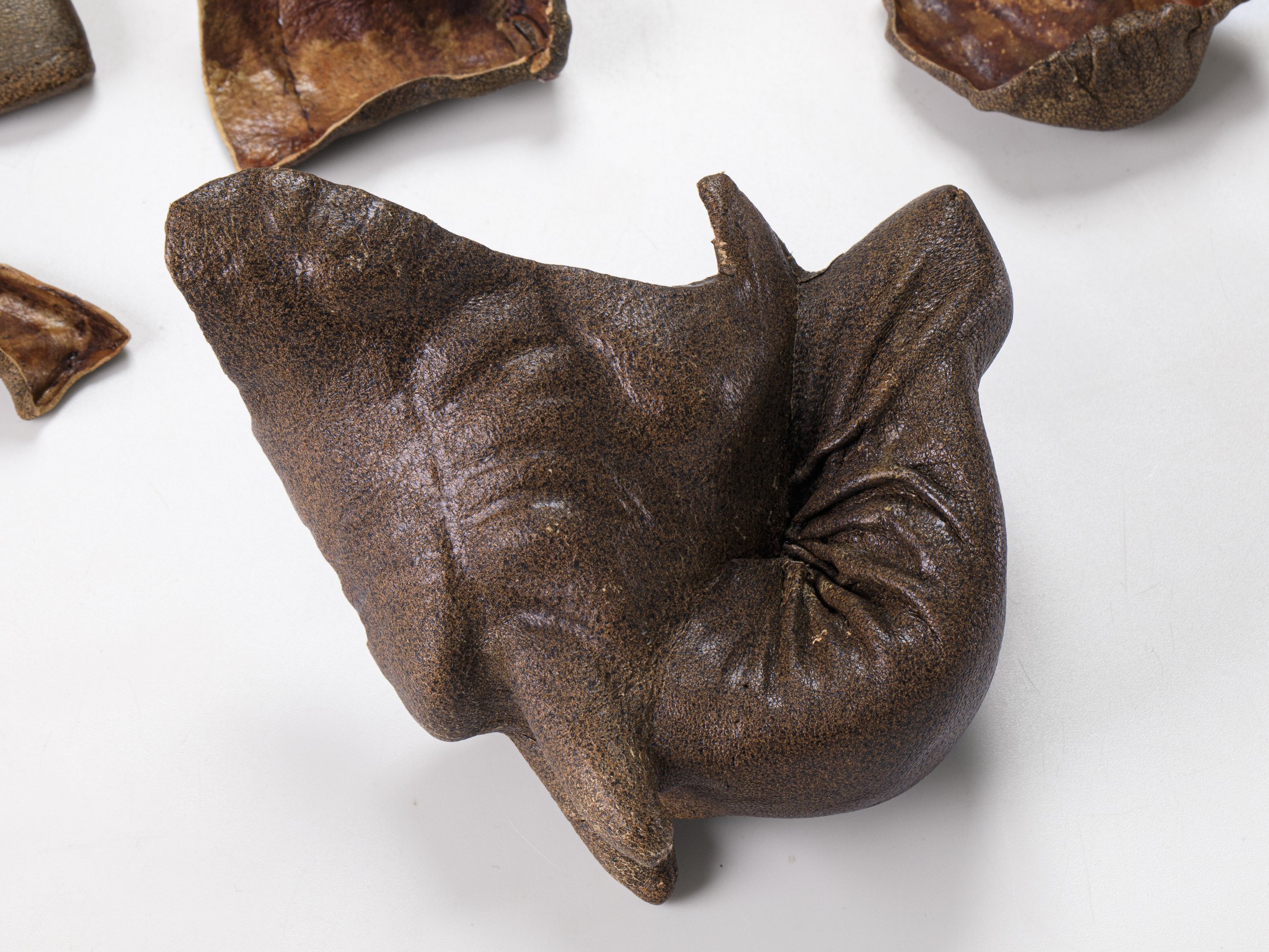 Letter to an Elephant (after Romain Gary) (detail), 2025, recycled leather, 20x16x4.5 cm