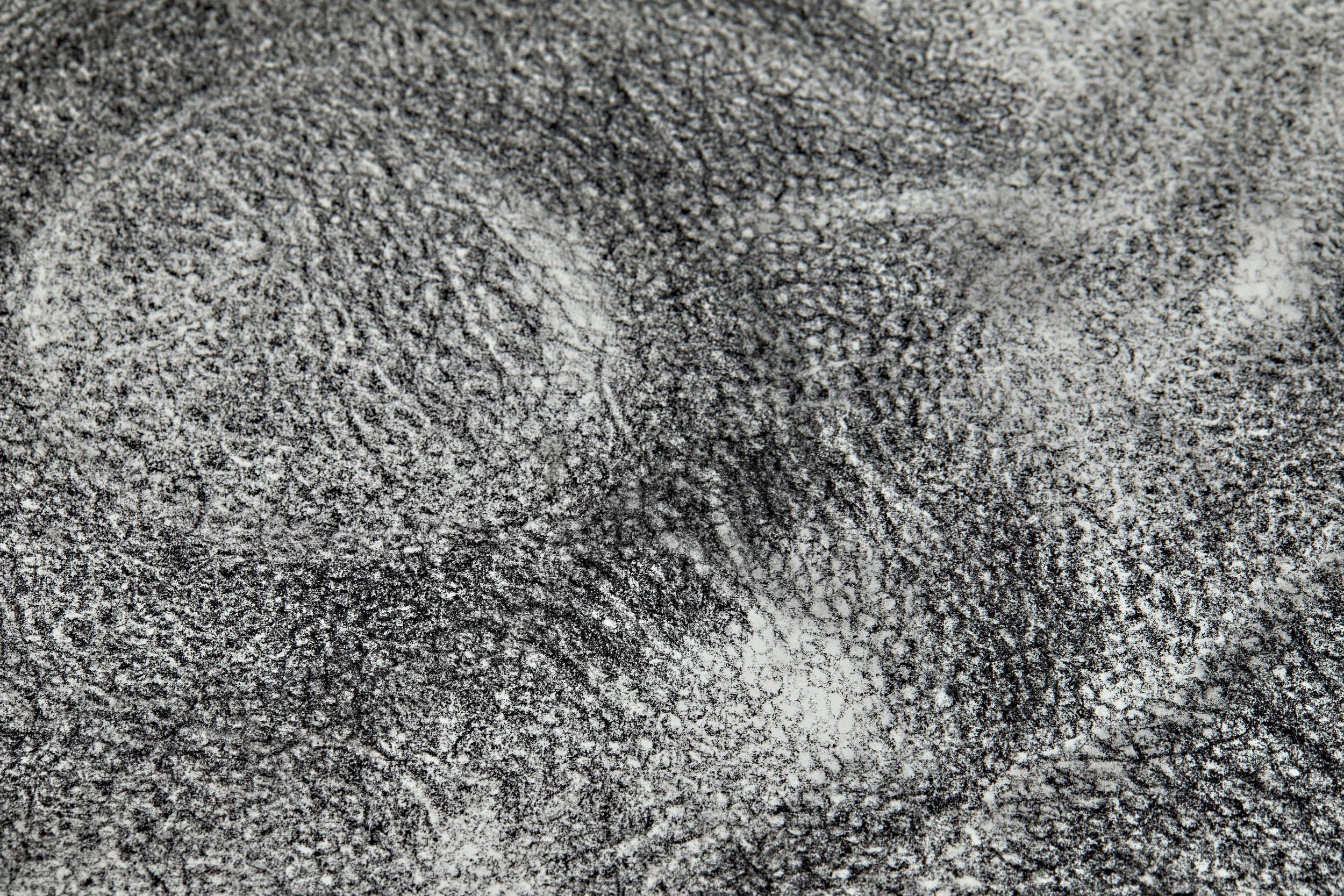 Porcelain Revival (detail), 2024, charcoal on paper, 100x70 cm (framed in oak tree: 74.9x105 cm)