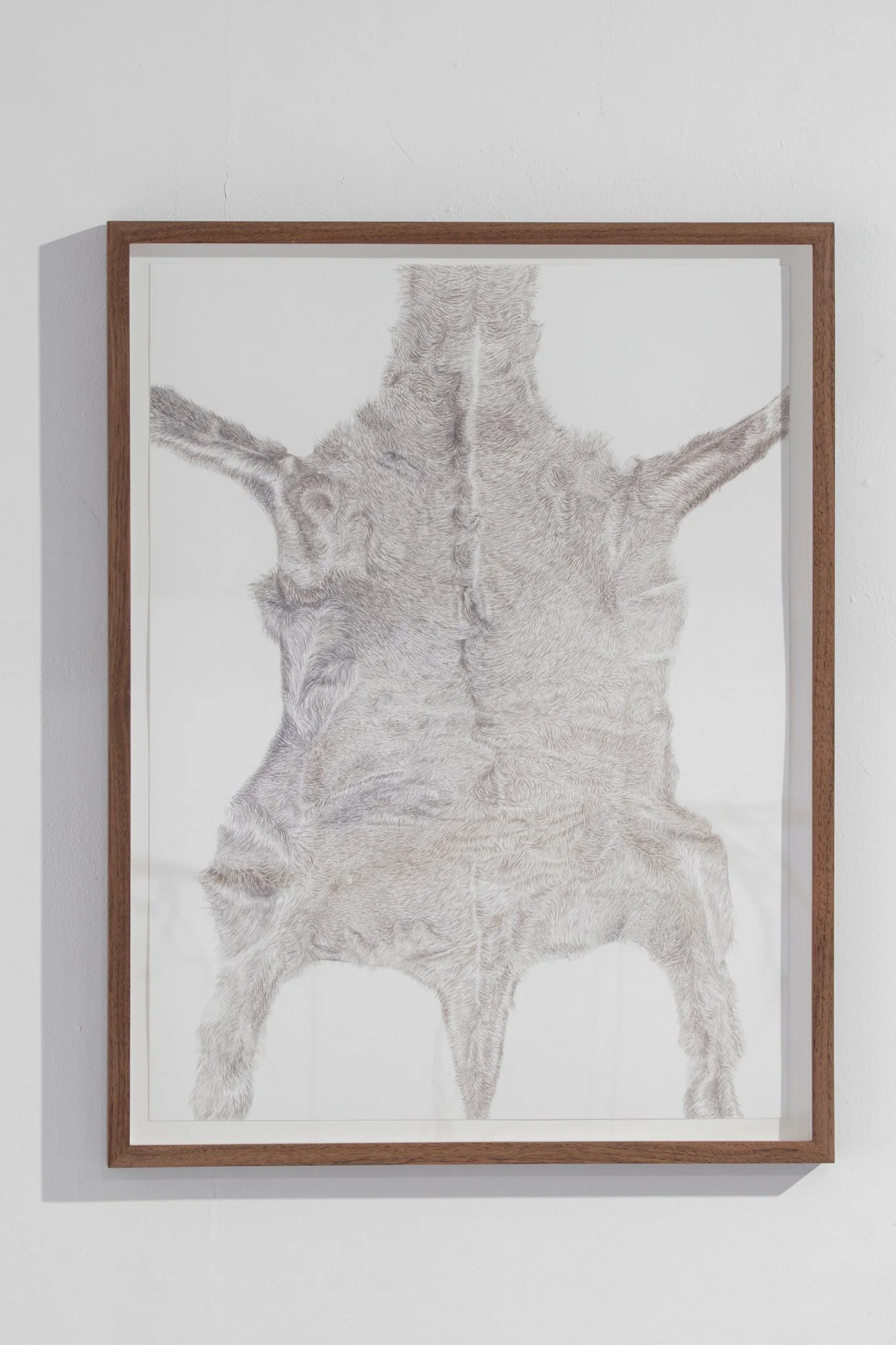 Karakul Lamb, 2023, watercolor on paper, 48x36 cm (framed in Oak tree: 53x41 cm)