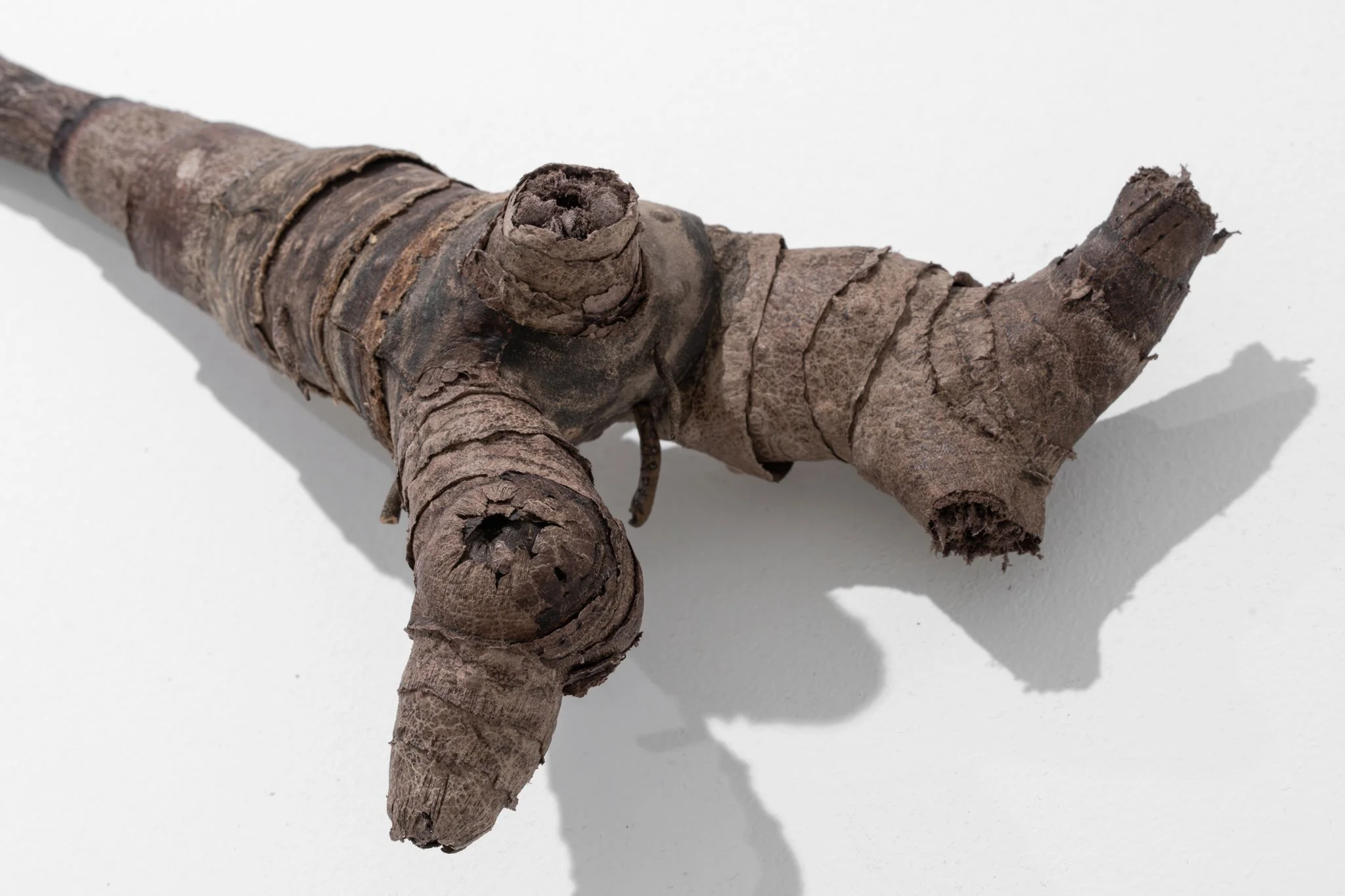 Arundo donax (detail), 2025, recycled leather, wax, 190x57x20 cm