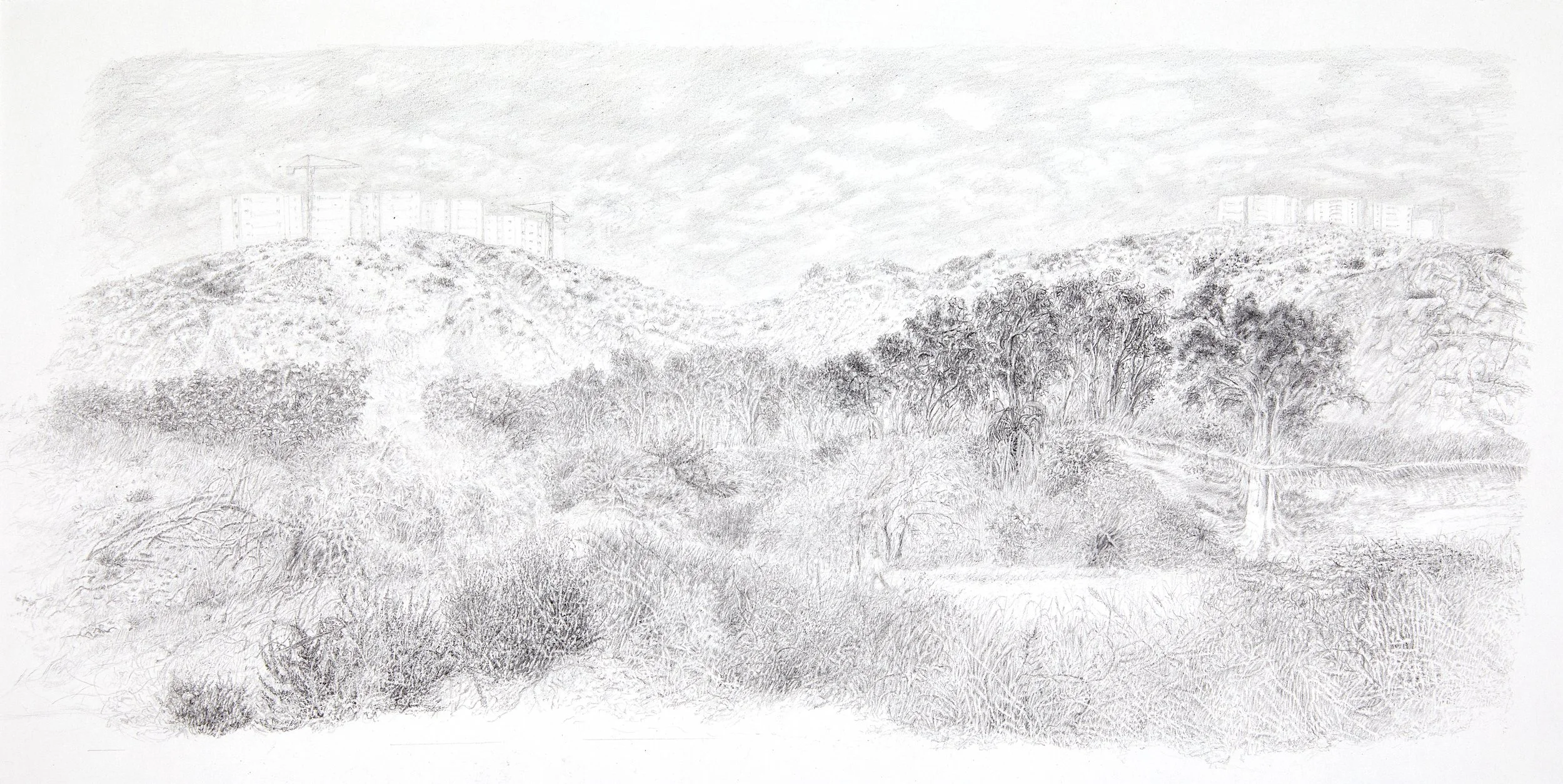 Residential Neighborhood 'Tochnit Lamed', Imagined Landscape from the Sea side, 2024 
Graphite on paper
38.4x19.3 cm (framed in bleached wood: 43.4x24.4 cm)