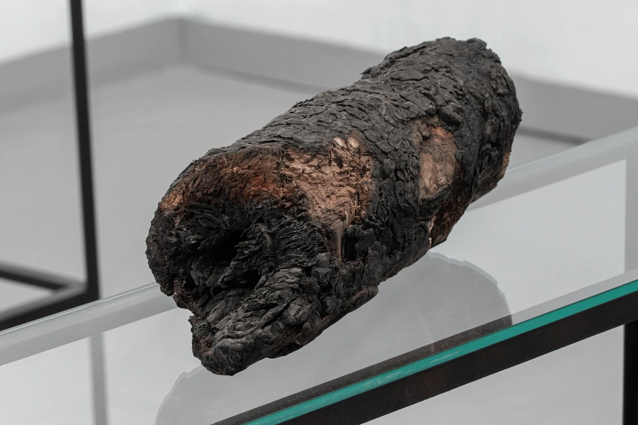 Live Timber, 2020, Eucalyptus found timber, recycled leather, 40.5x14.2x13.2 cm