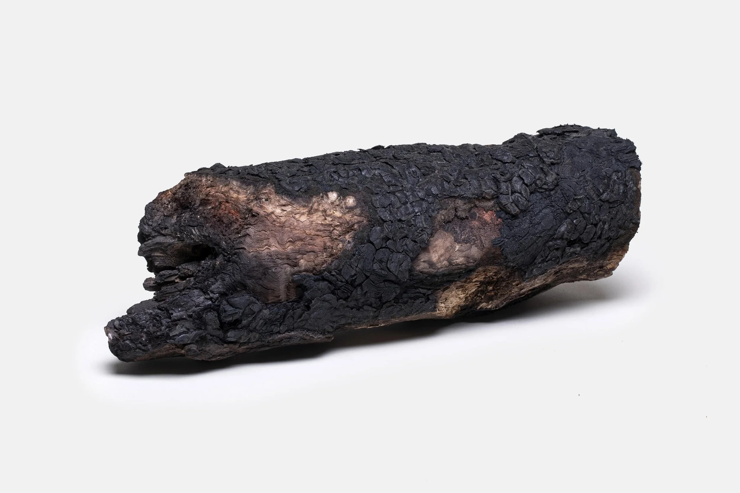 Live Timber, 2020, Eucalyptus found timber, recycled leather, 40.5x14.2x13.2 cm