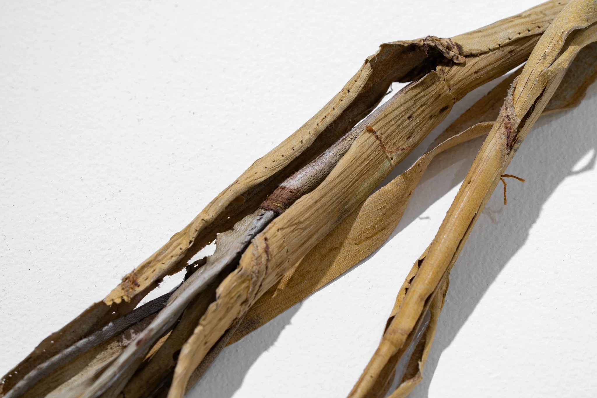 Arundo donax (detail), 2025, recycled leather, wax, 190x57x20 cm
