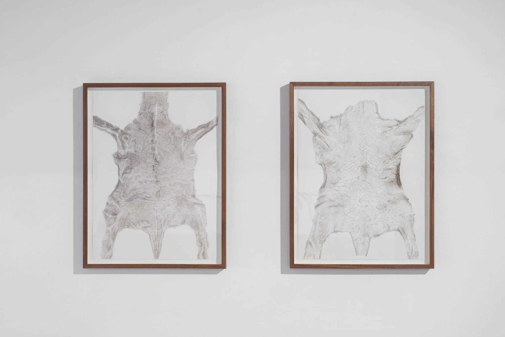 Last Skin, installation views. Photos: Daniel Hanoch 