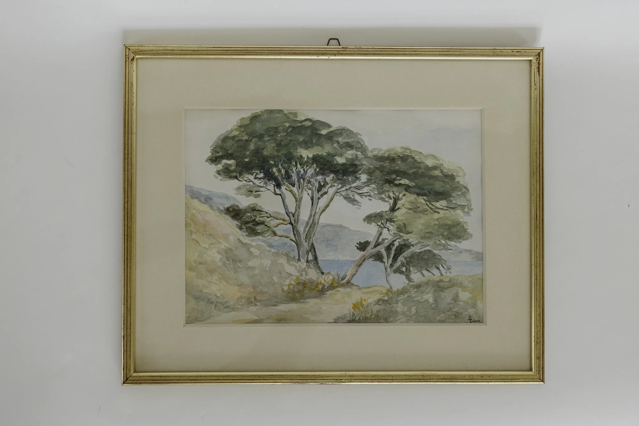 Vintage Framed Cypress Watercolor
