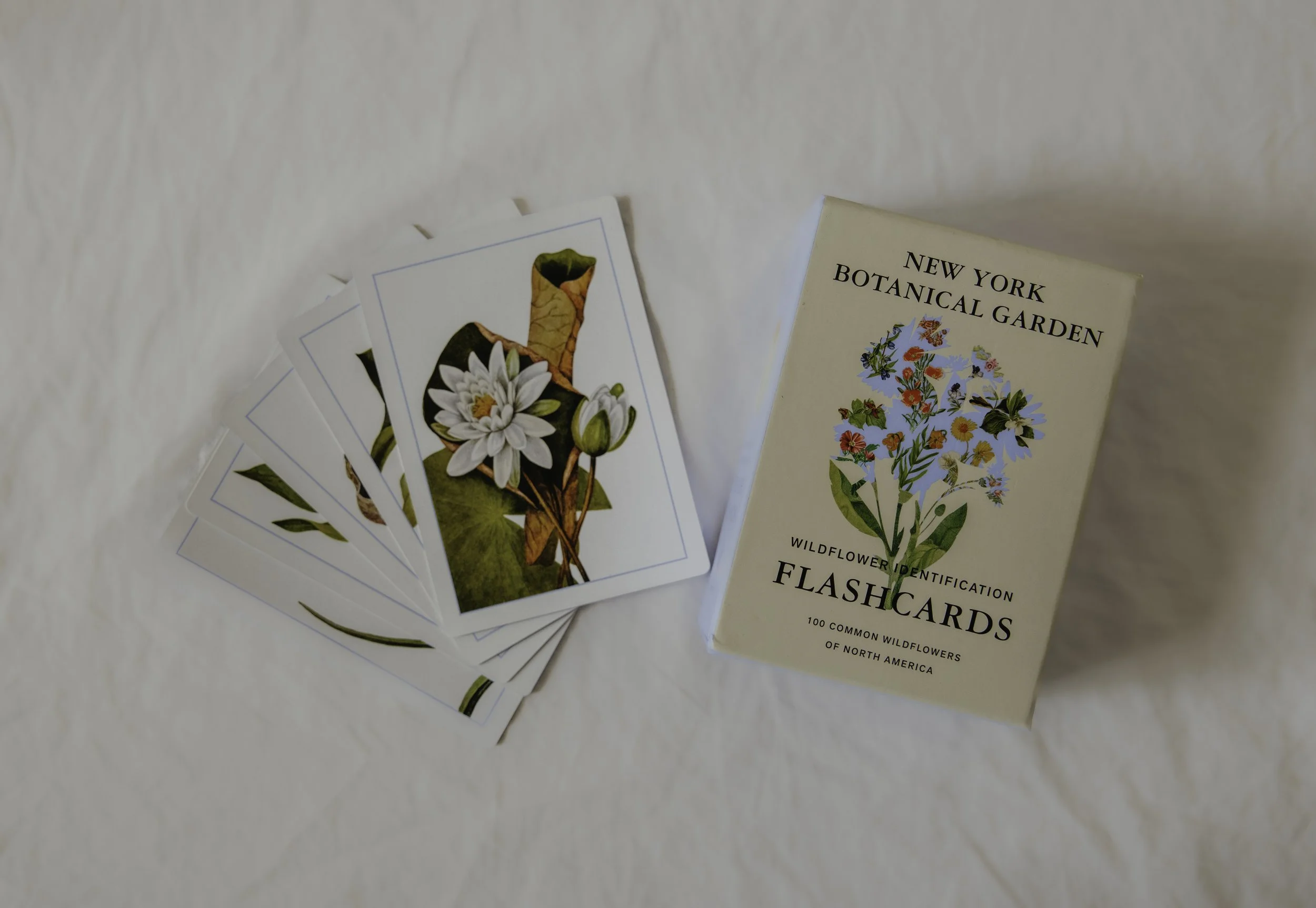Herbal Academy-158.jpg
