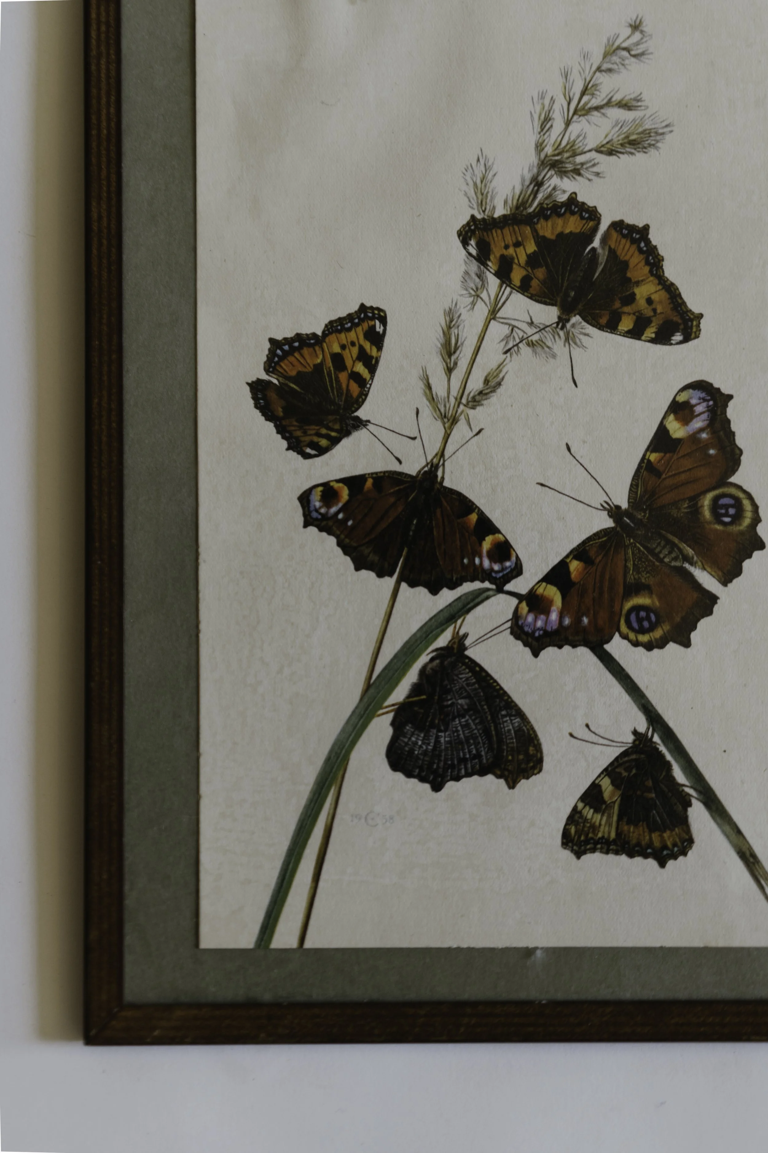 Hawthorn _ Antiques & Vintage-57.jpg