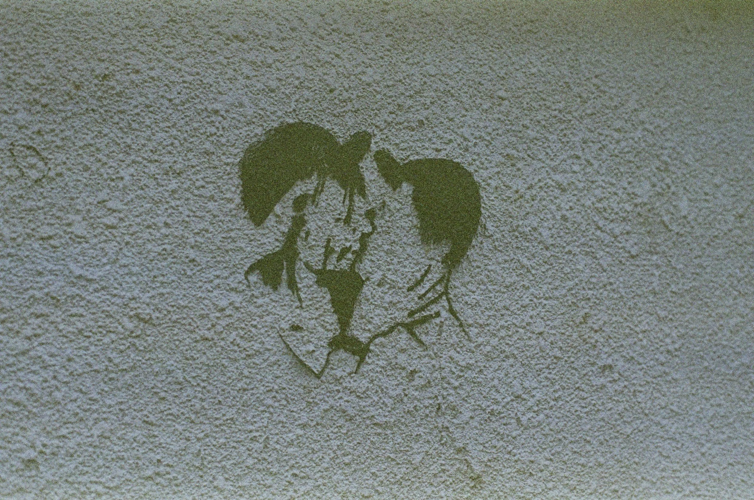 Stencil graffiti of a woman's face and a child's face on textured wall.