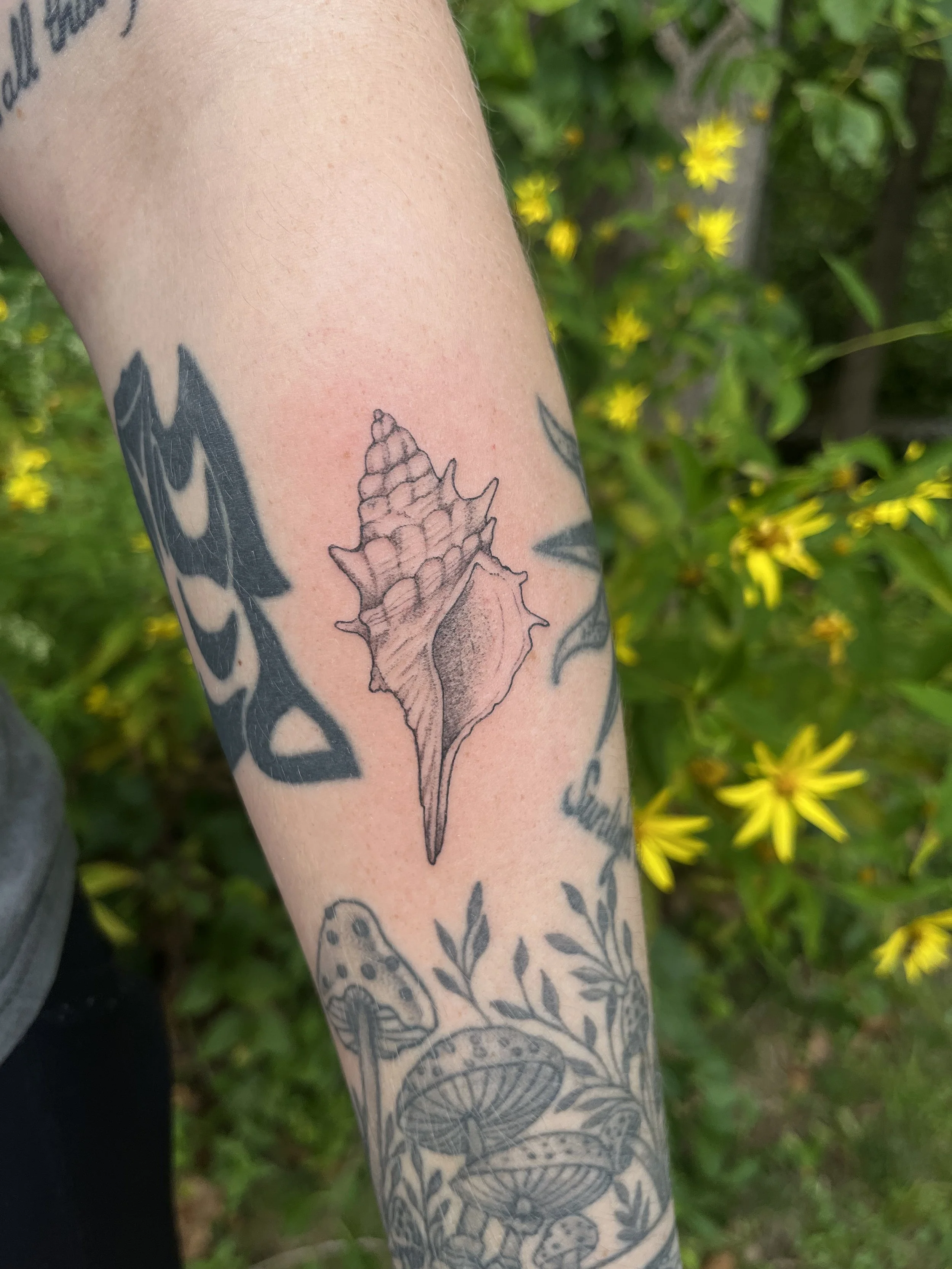 A person's tattooed arm with black ink designs, including a detailed drawing of a seashell, surrounded by various other black ink tattoos such as leaves, mushrooms, and abstract patterns, with yellow flowers and green foliage in the background.